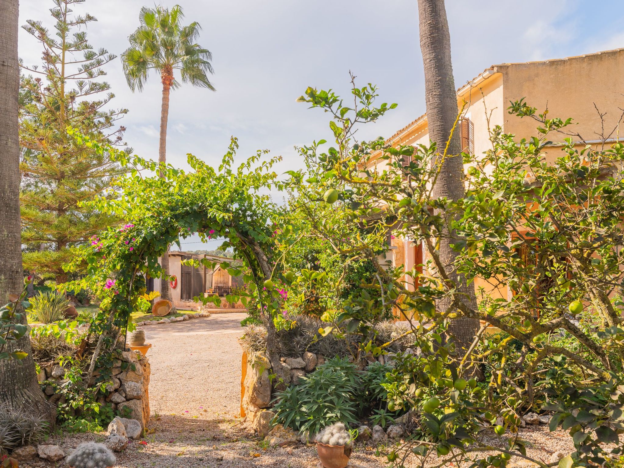 Sitjoles-Image-tags.info