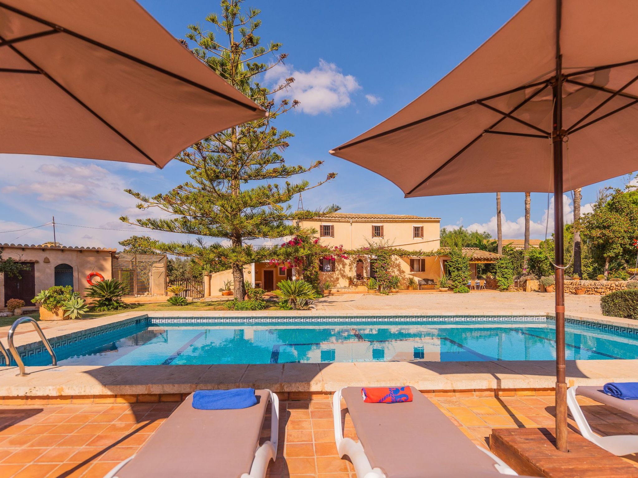 Sitjoles-Image-tags.info