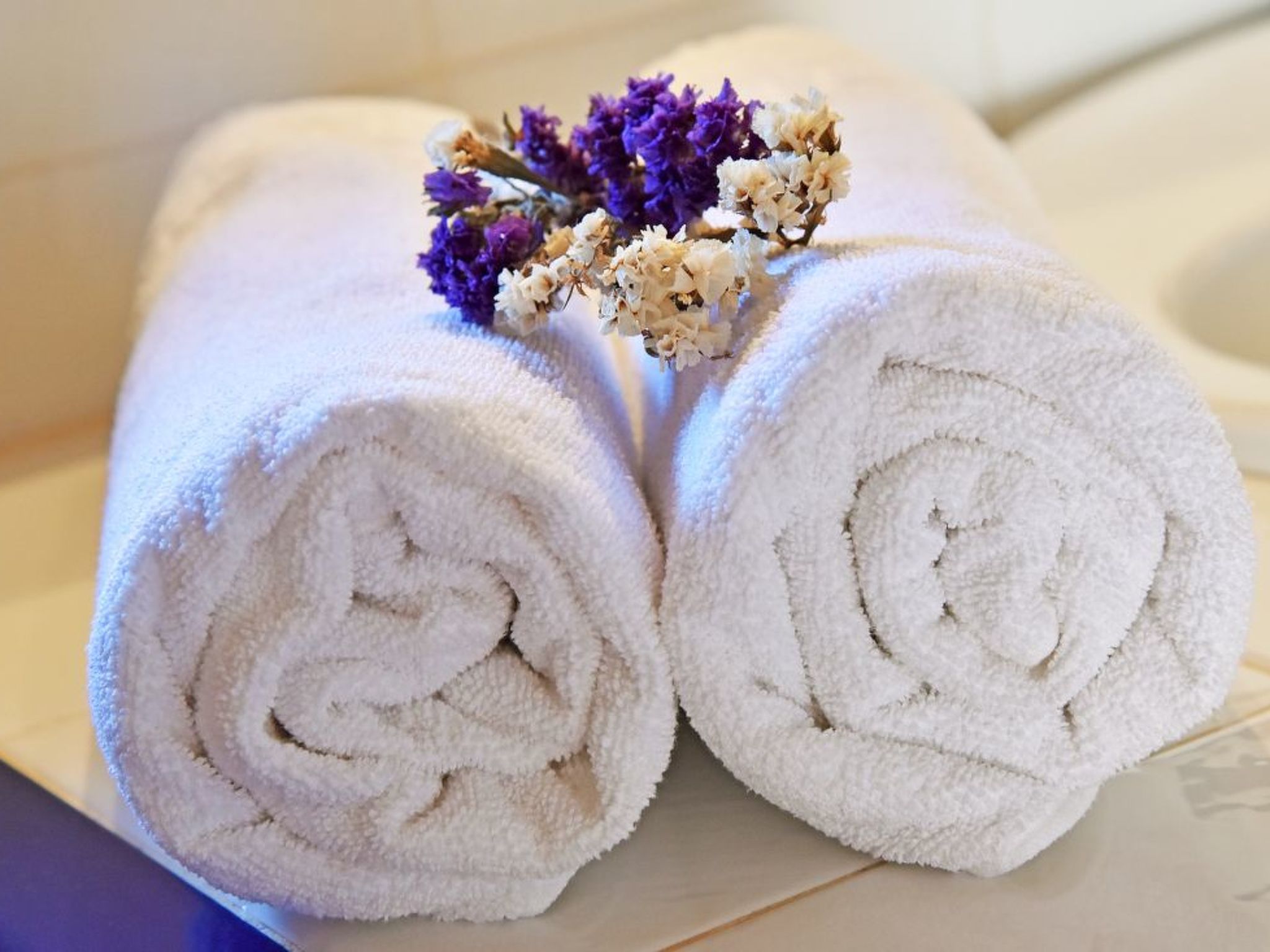 Hort de sa Barrala-Image-tags.info