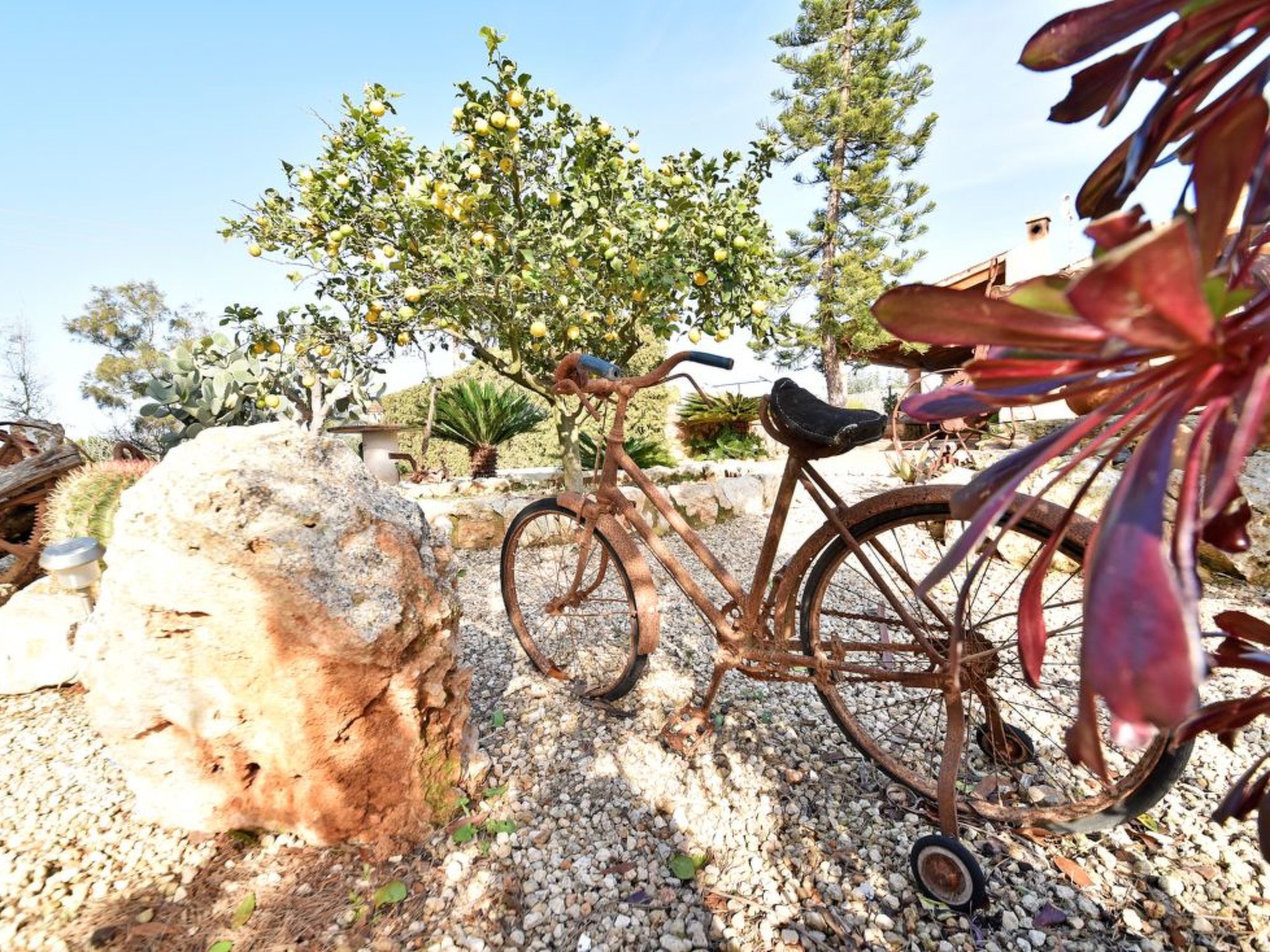 Hort de sa Barrala-Image-tags.info