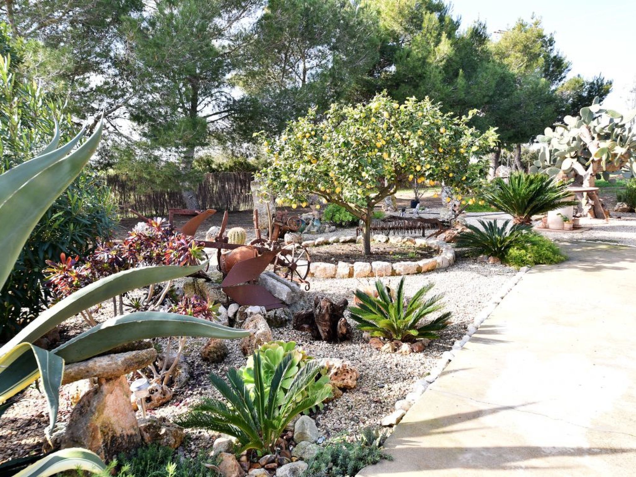 Hort de sa Barrala-Image-tags.info