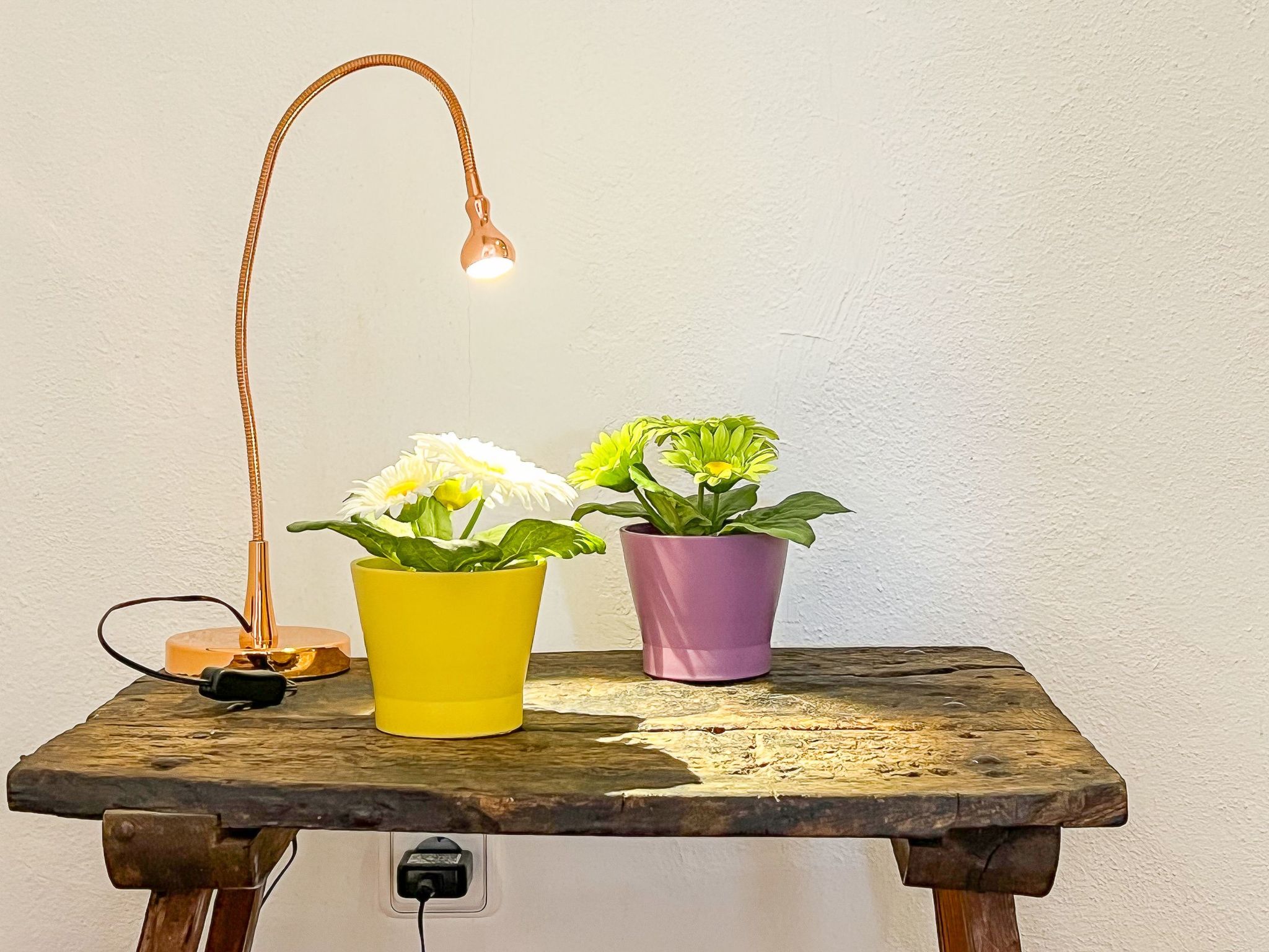 Mit Privatpool für 6 Personen ca. 110 m&sup2; in Campos, Balearen (Mallorca)