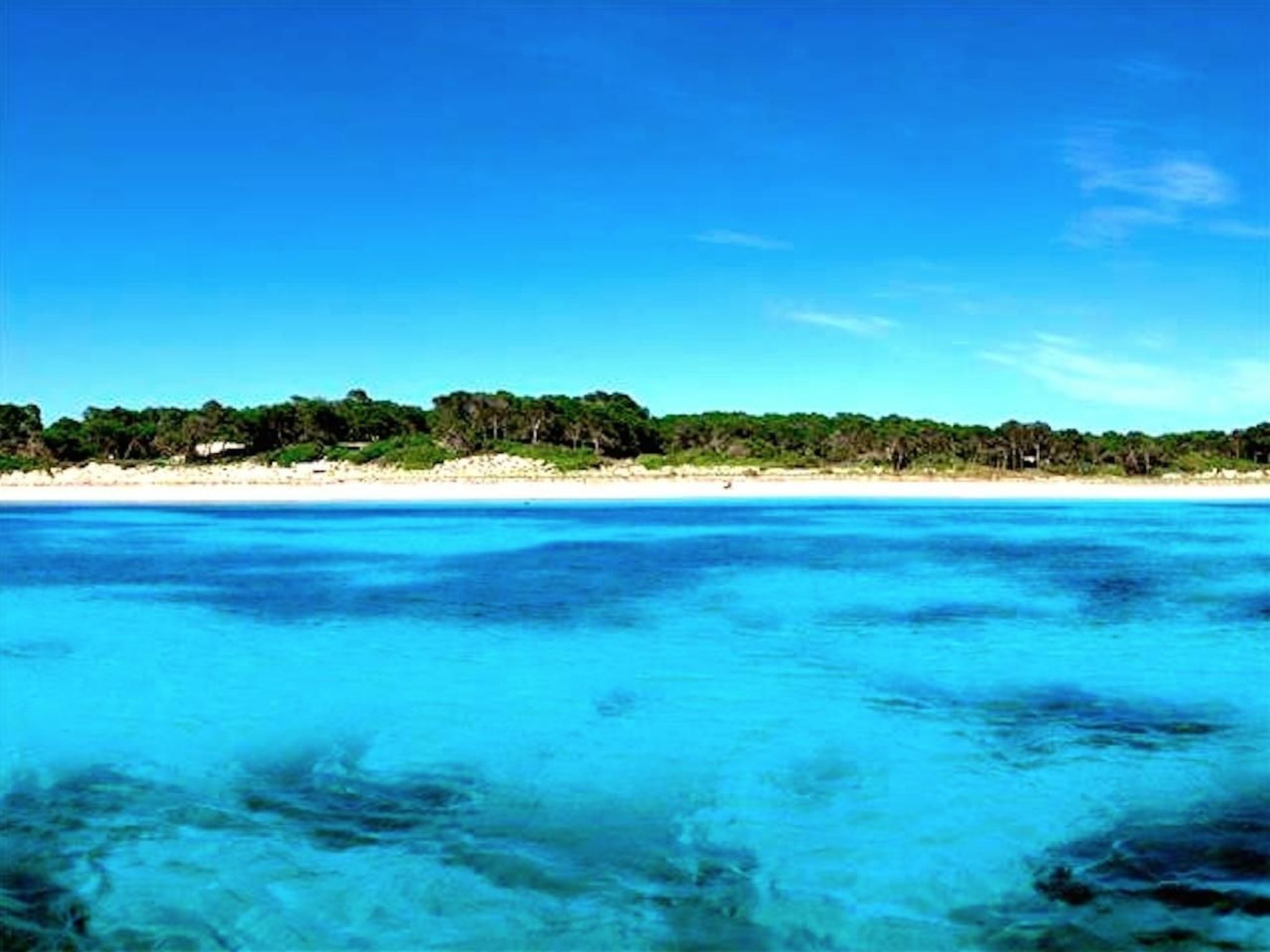 Finca Verde Campos - Image-tags.info