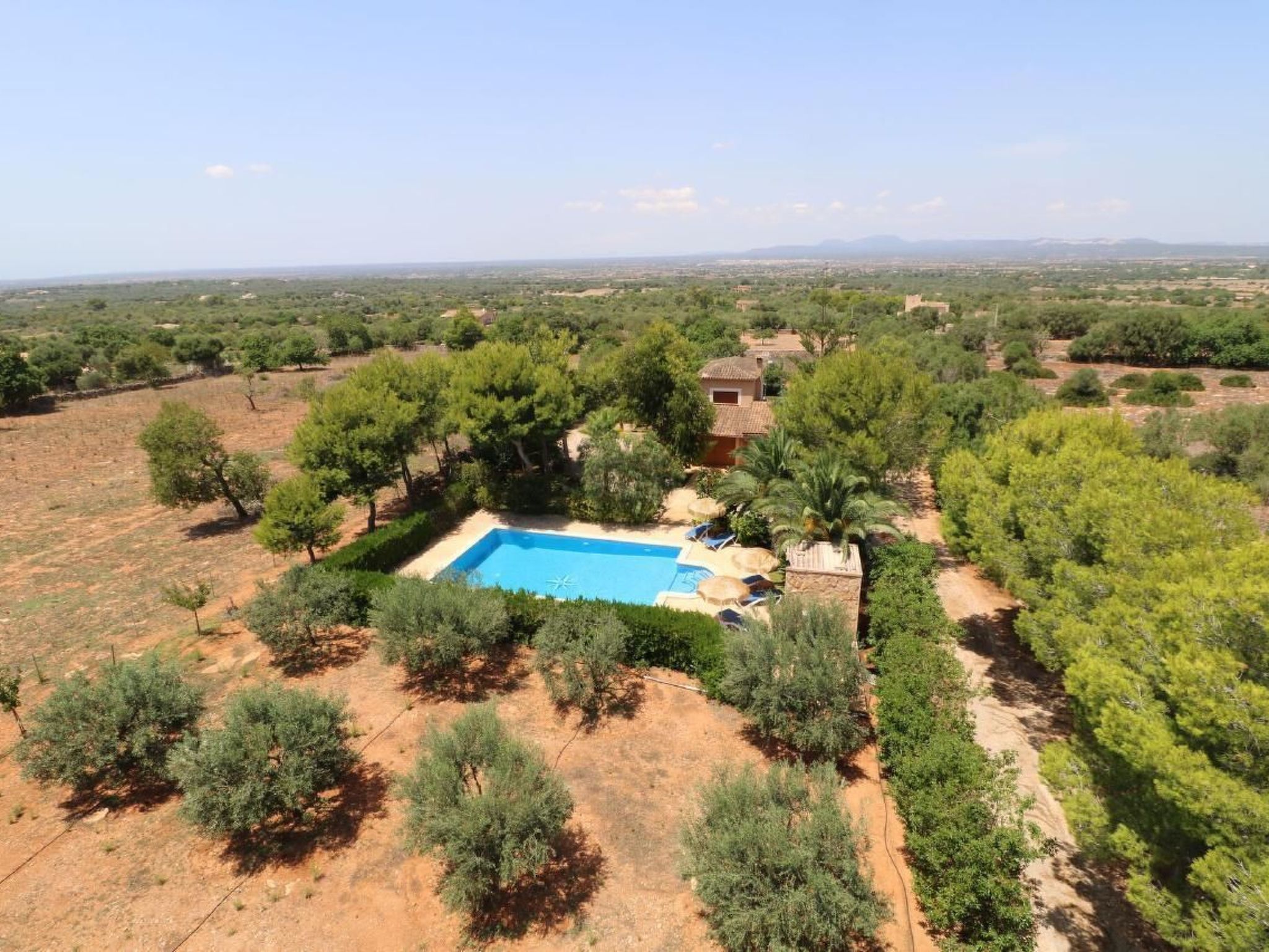 Fi. Camaron-Crestall