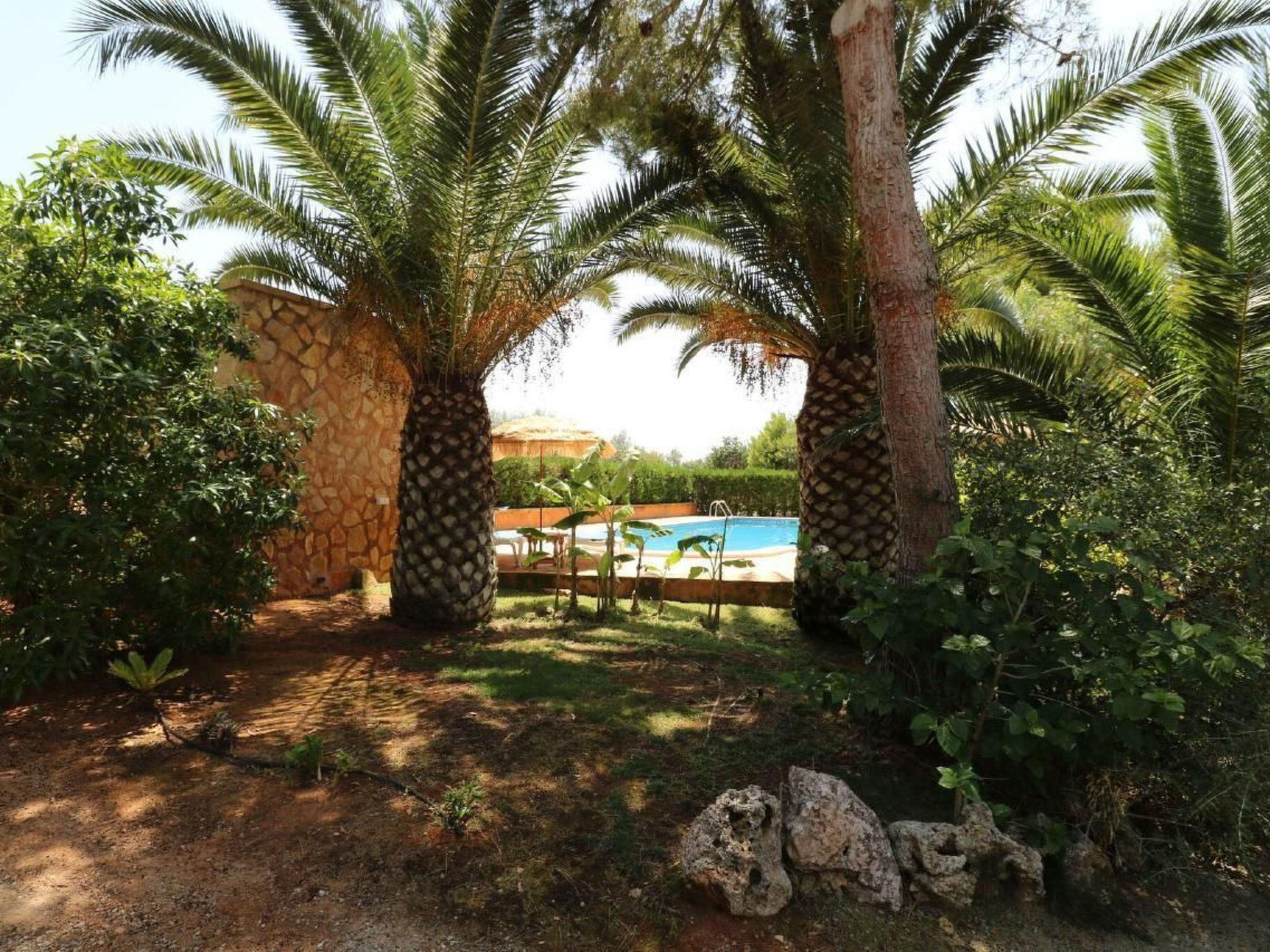 Fi. Camaron-Crestall