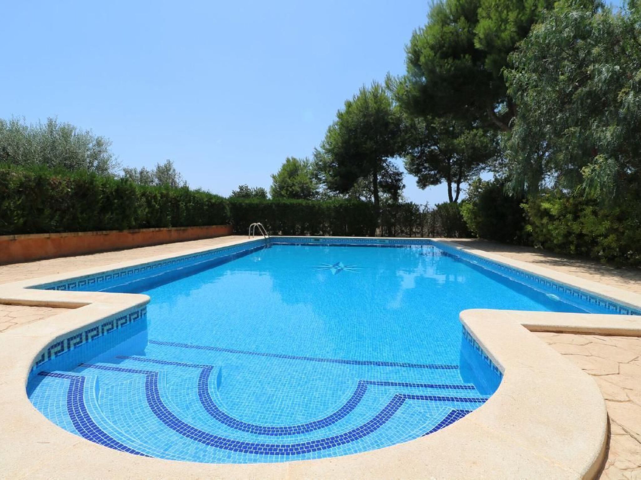 Fi. Camaron-Crestall-Image-tags.info