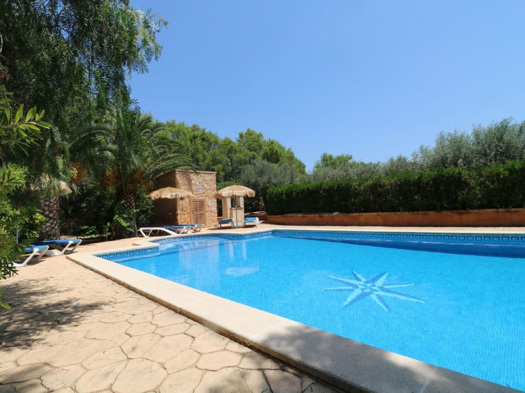 Fi. Camaron-Crestall-Image-tags.info