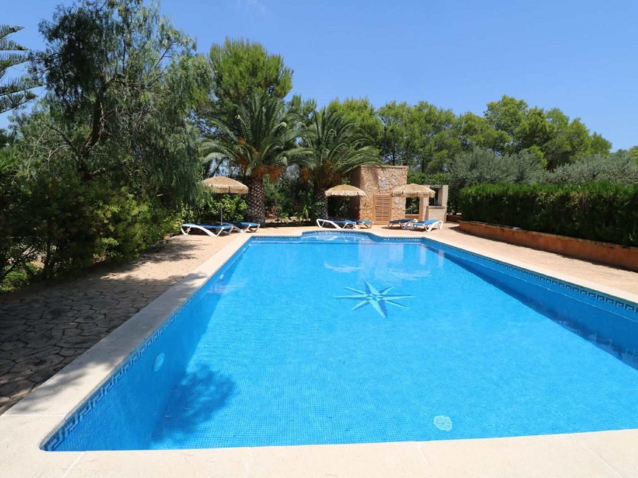 Fi. Camaron-Crestall-Image-tags.info