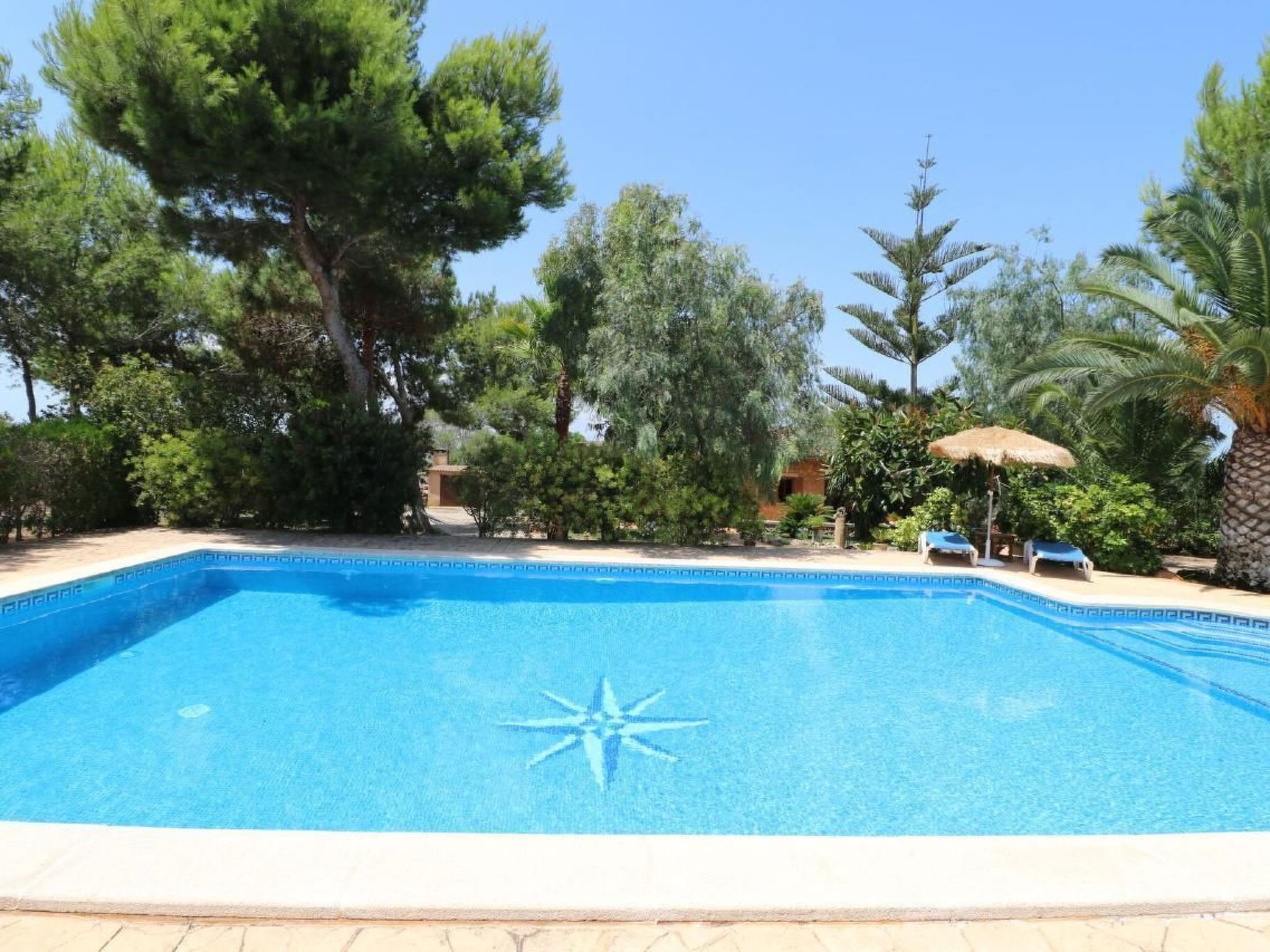 Fi. Camaron-Crestall-Image-tags.info