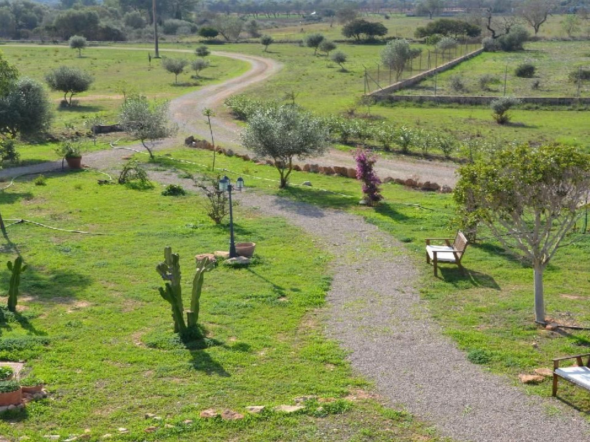 Sohn Fred, Campos-Binnen