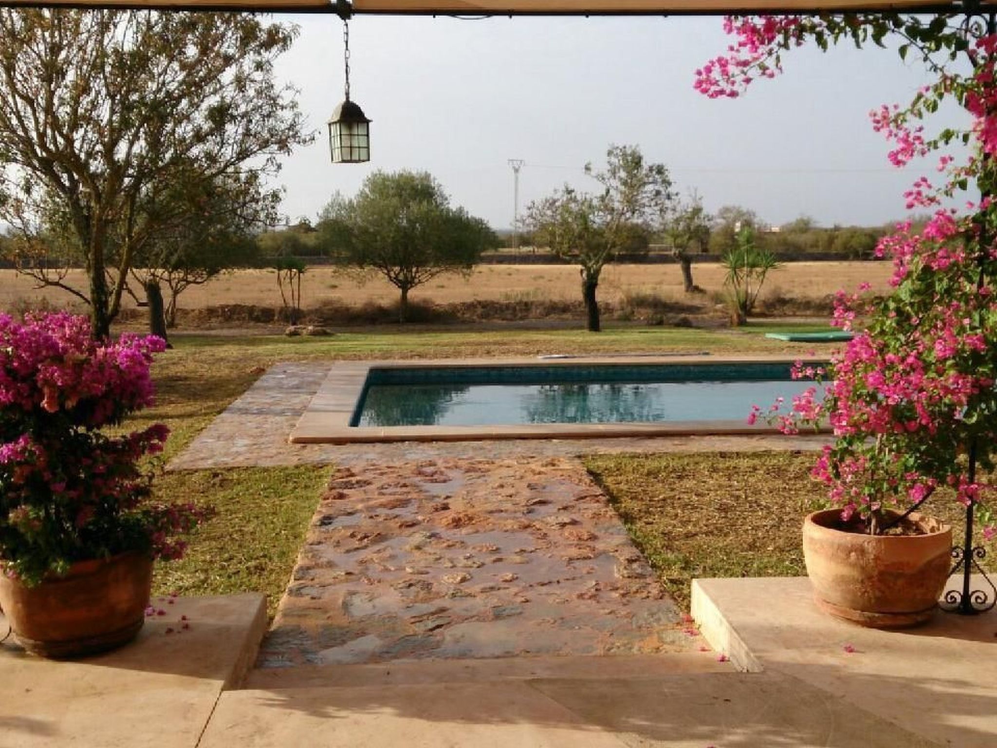 Sohn Fred, Campos-Binnen