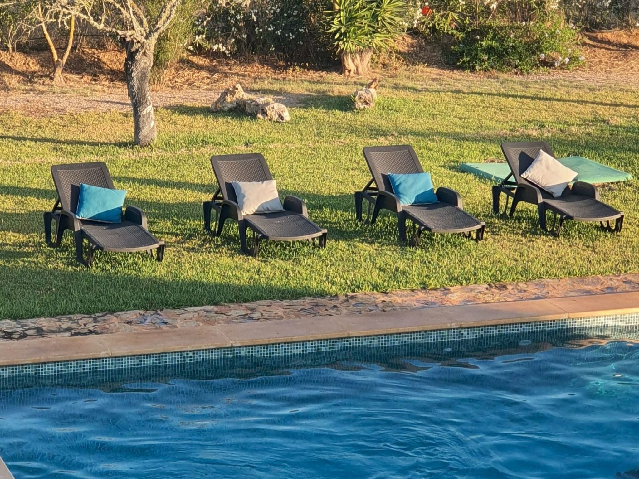 Finca SON FRED, Campos.-Binnen