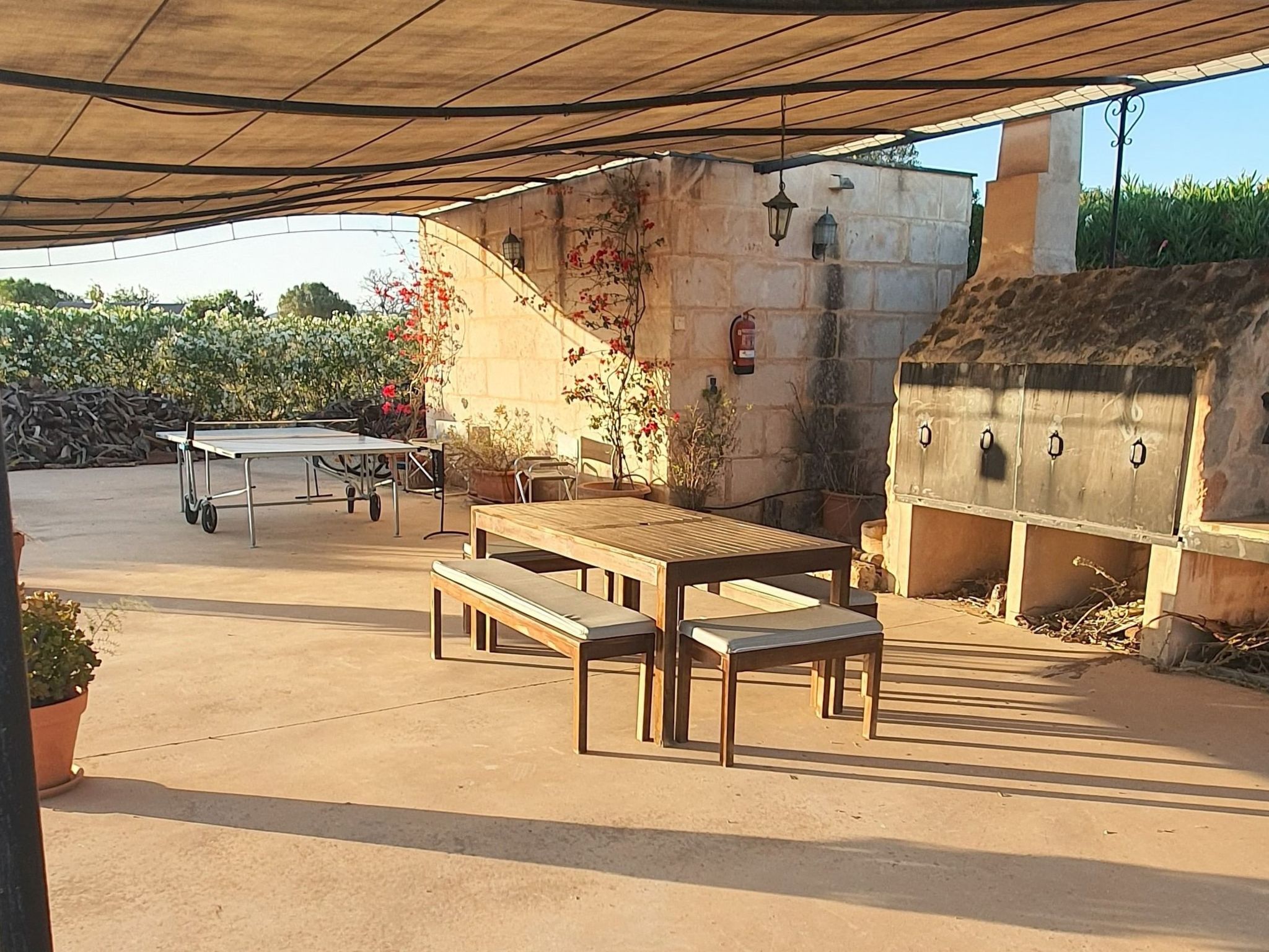 Finca SON FRED, Campos.-Binnen