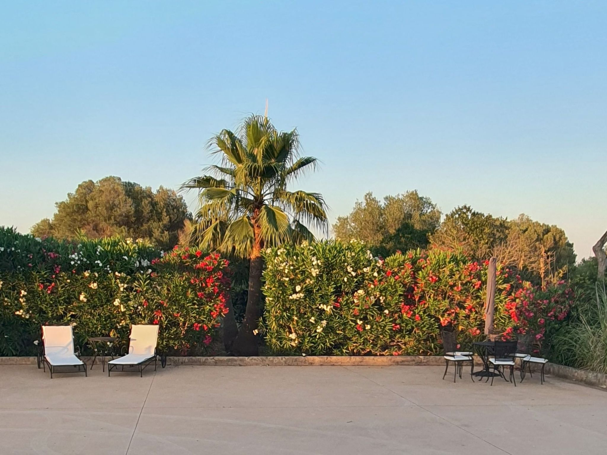 Finca SON FRED, Campos.-Binnen