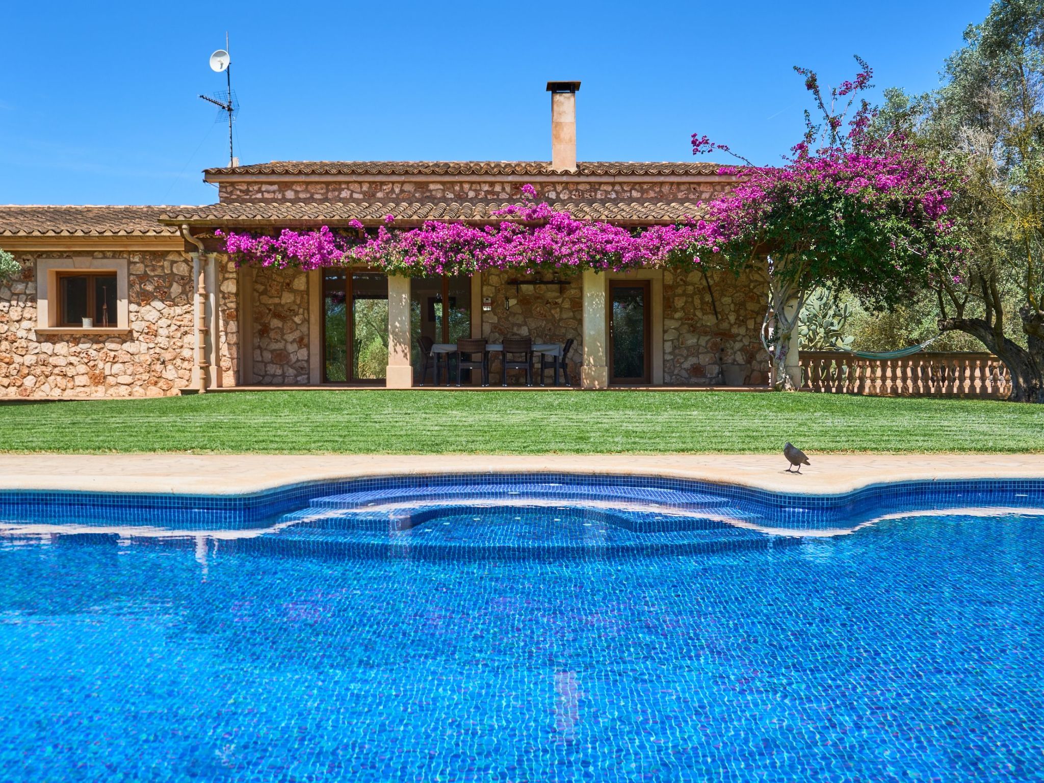 Ailen-Image-tags.info