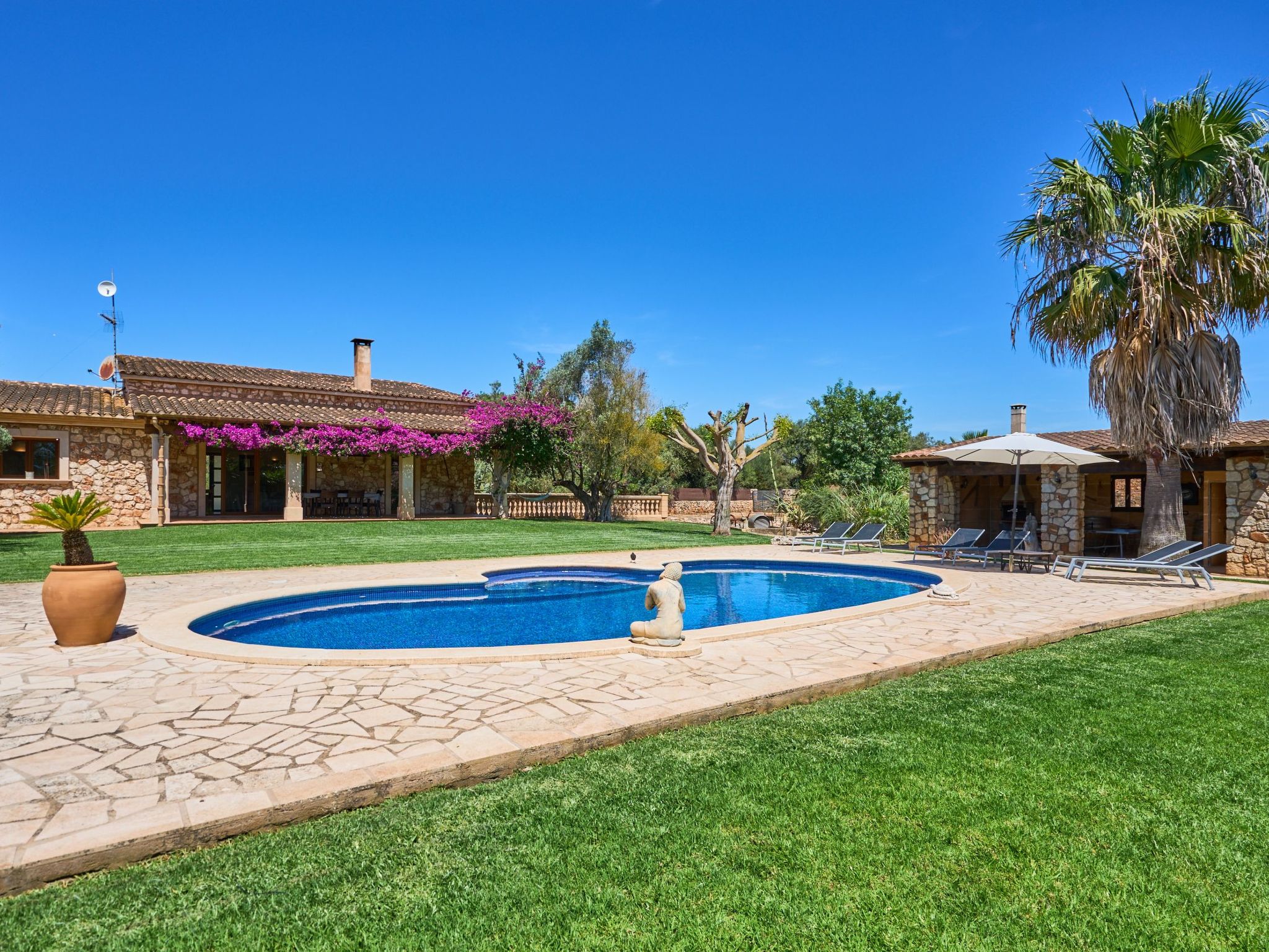 Ailen-Image-tags.info