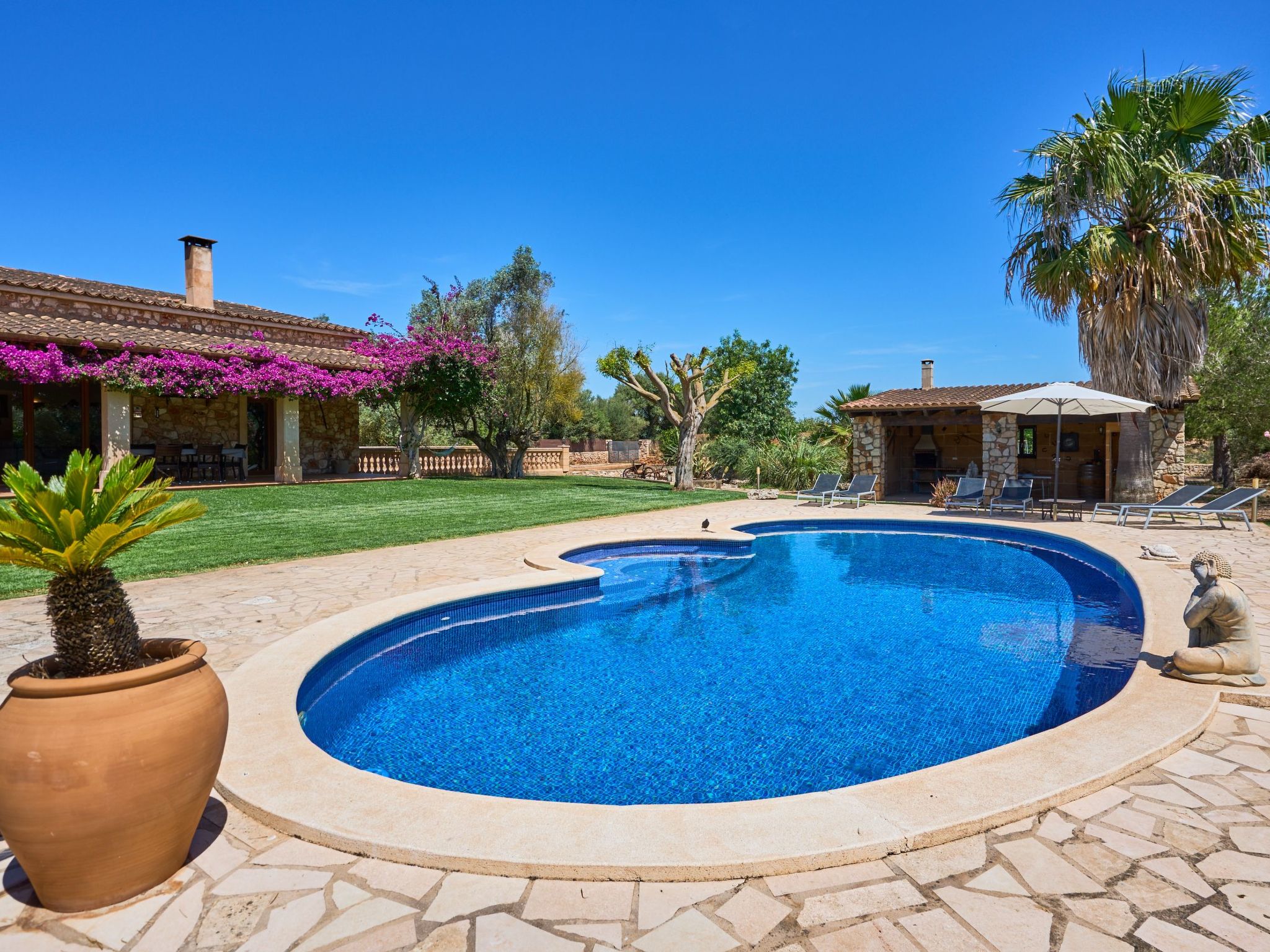 Ailen-Image-tags.info