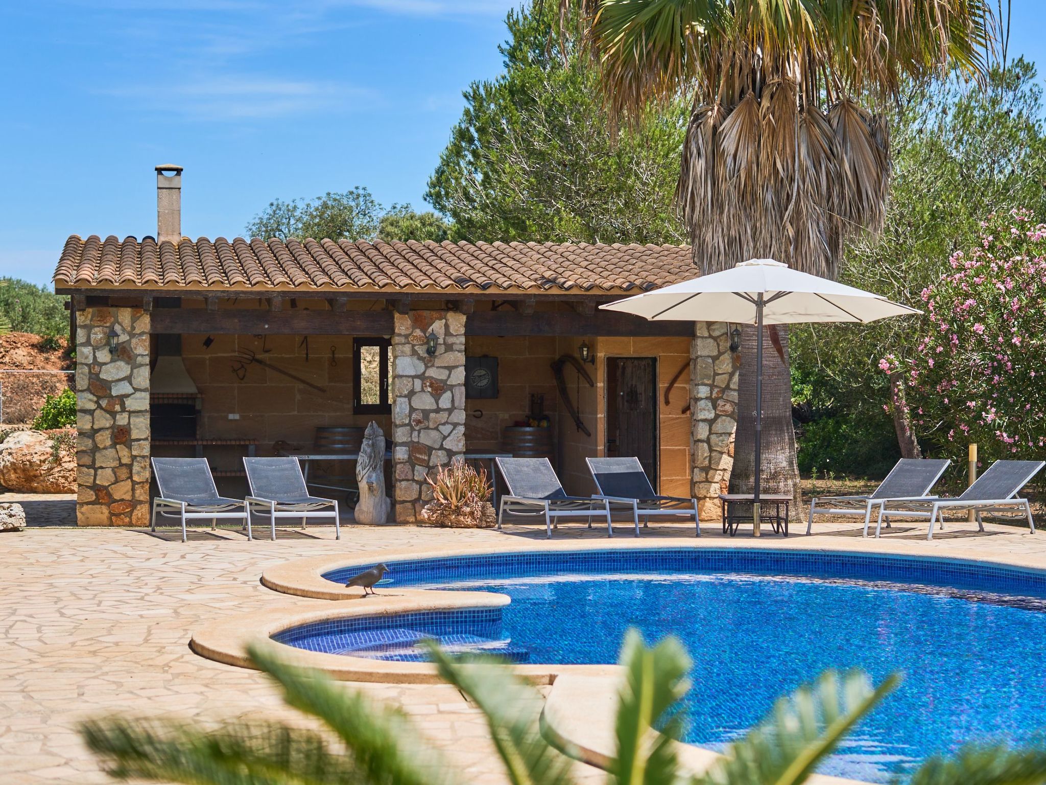 Ailen-Image-tags.info