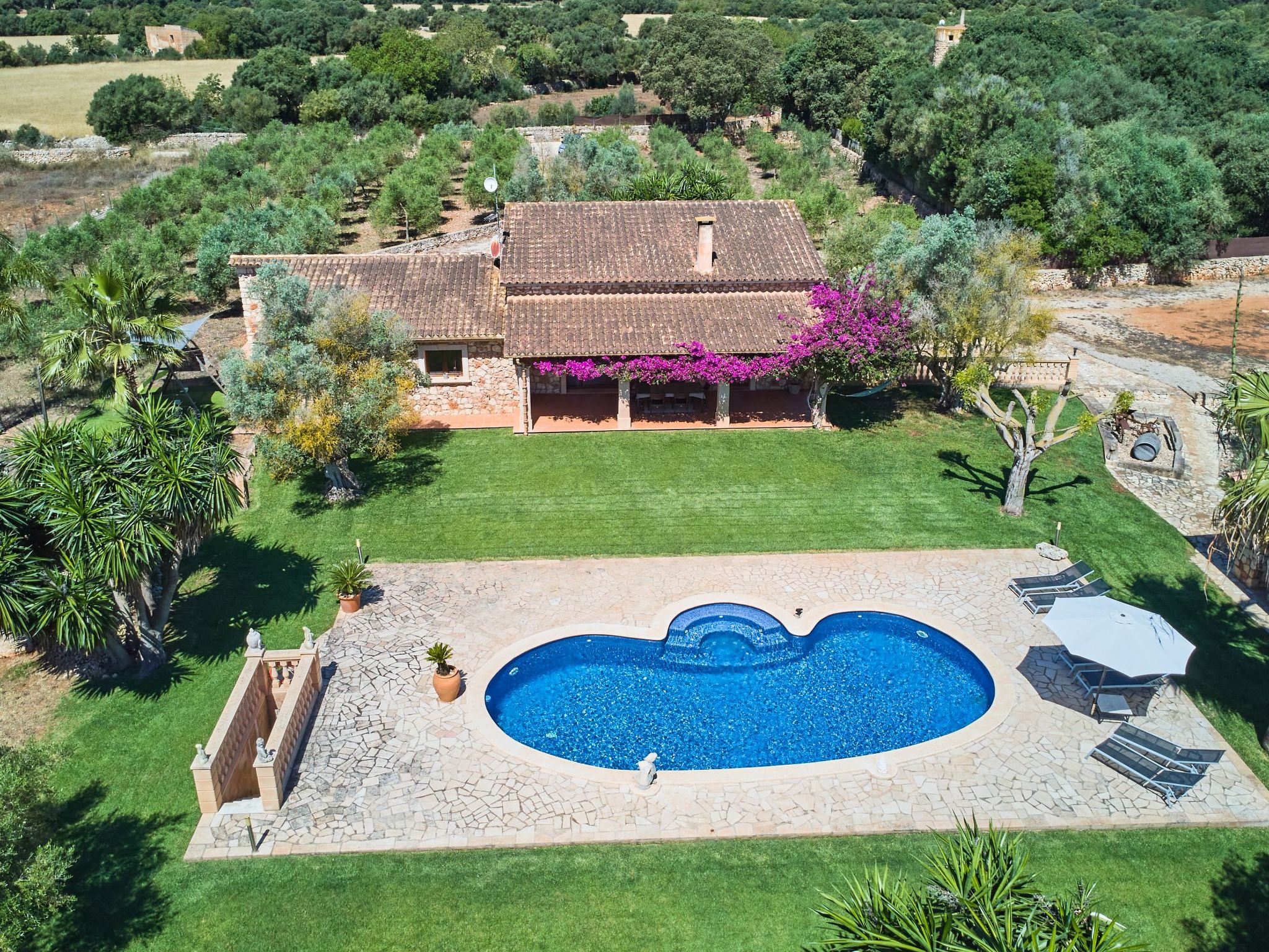 Ailen-Image-tags.info