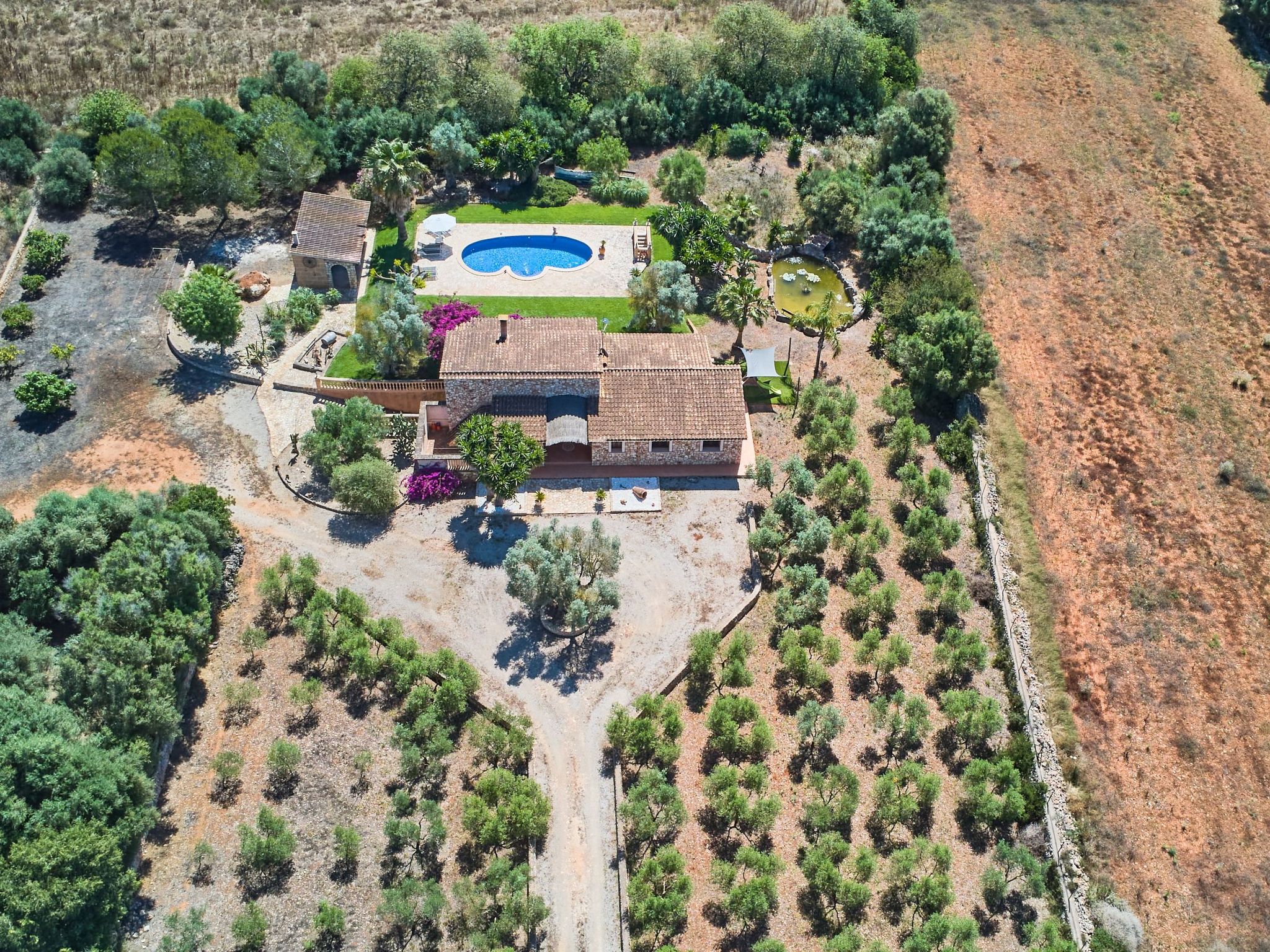 Ailen-Image-tags.info