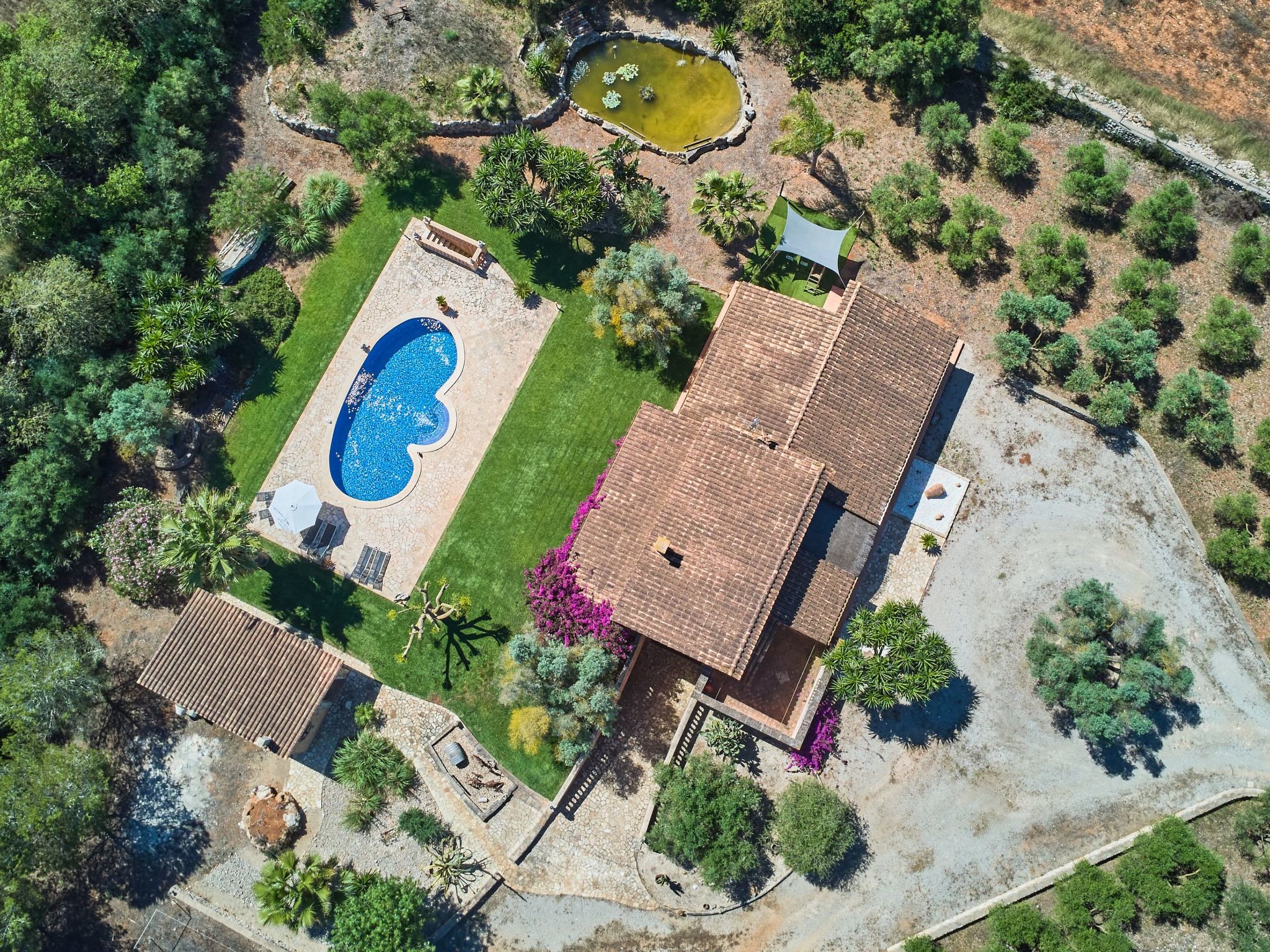 Ailen-Image-tags.info