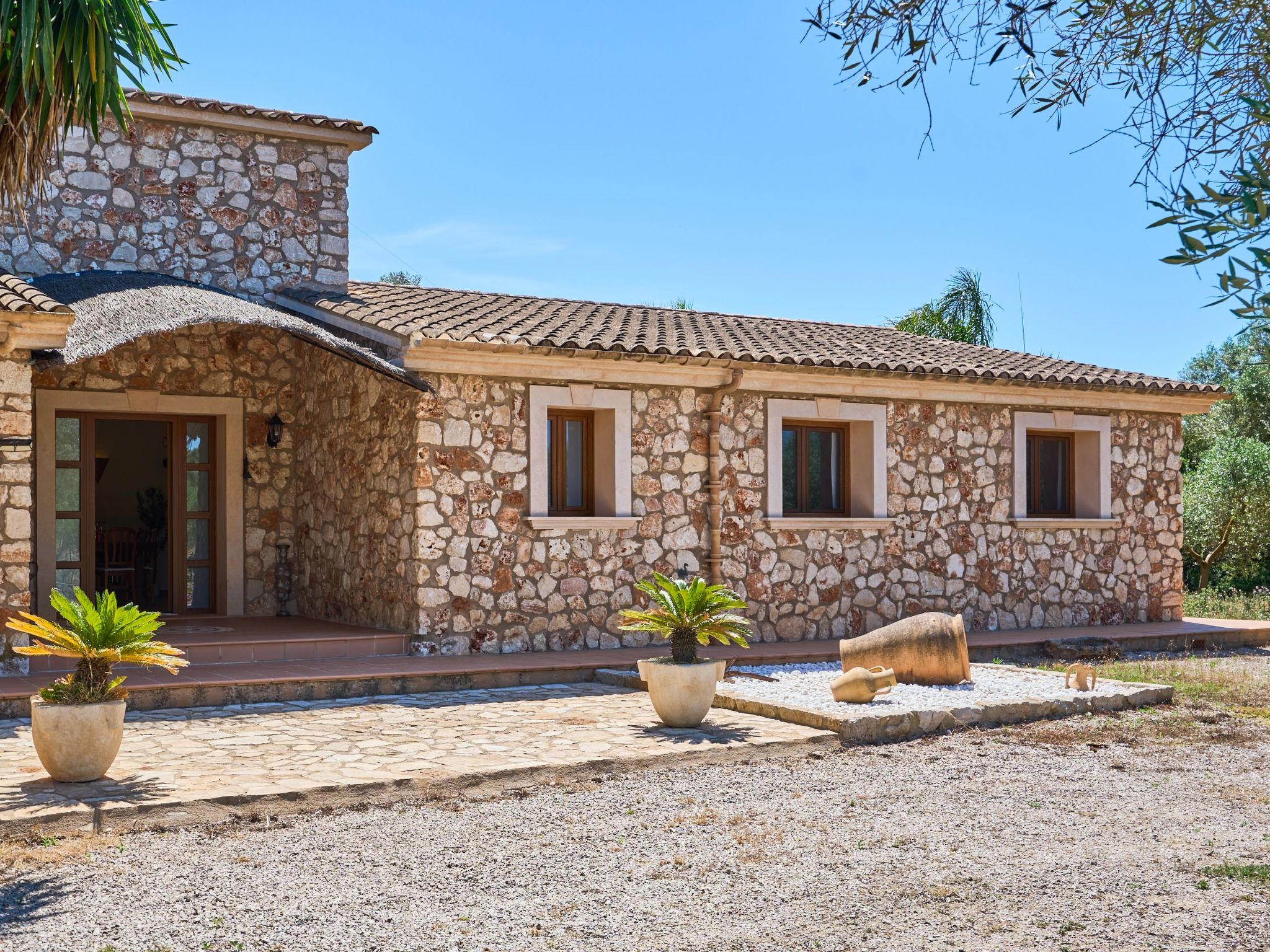 Ailen-Image-tags.info