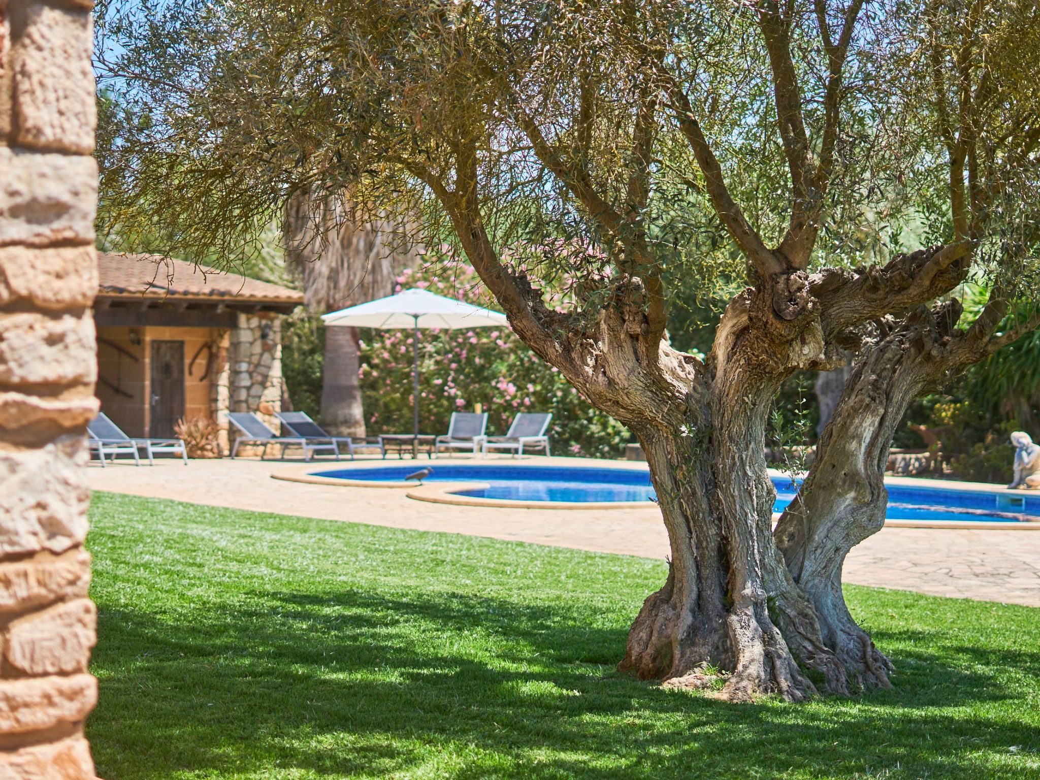 Ailen-Image-tags.info