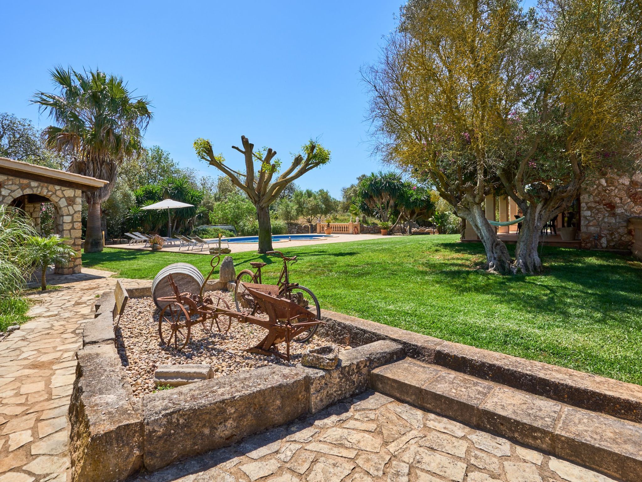 Ailen-Image-tags.info