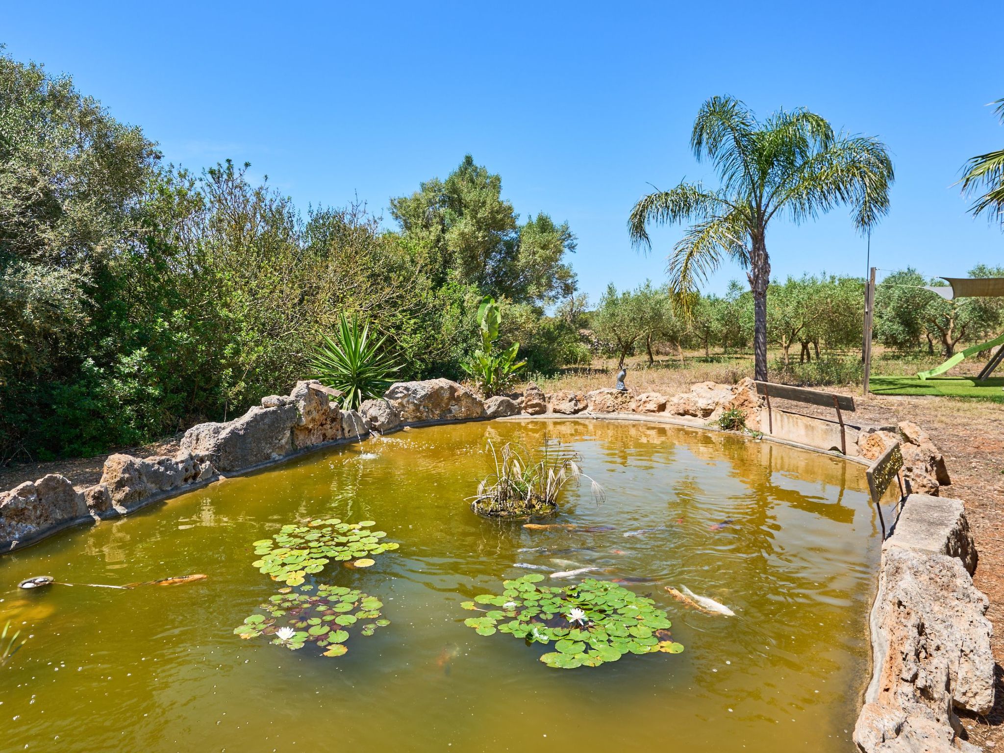 Ailen-Image-tags.info