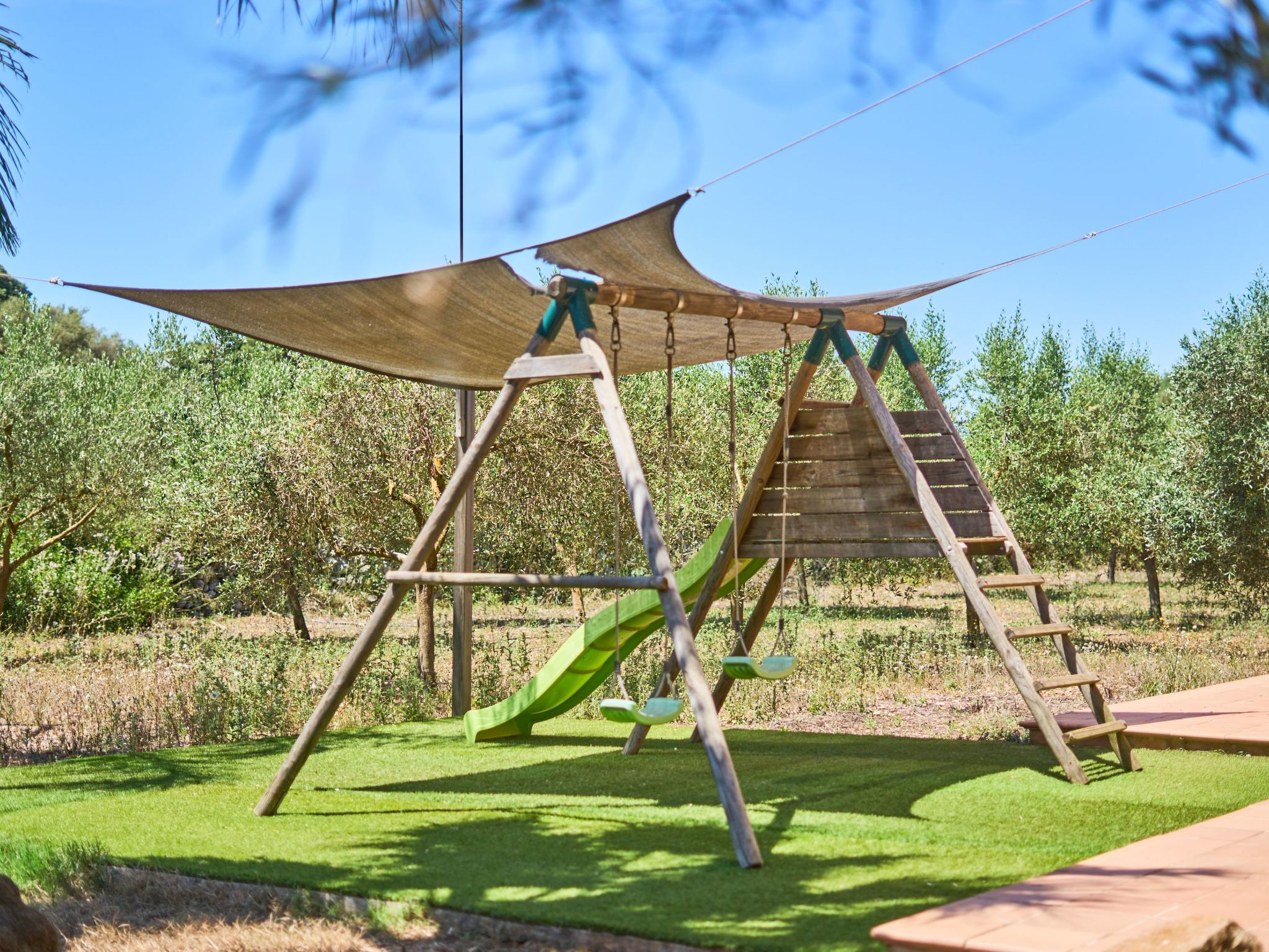 Ailen-Image-tags.info