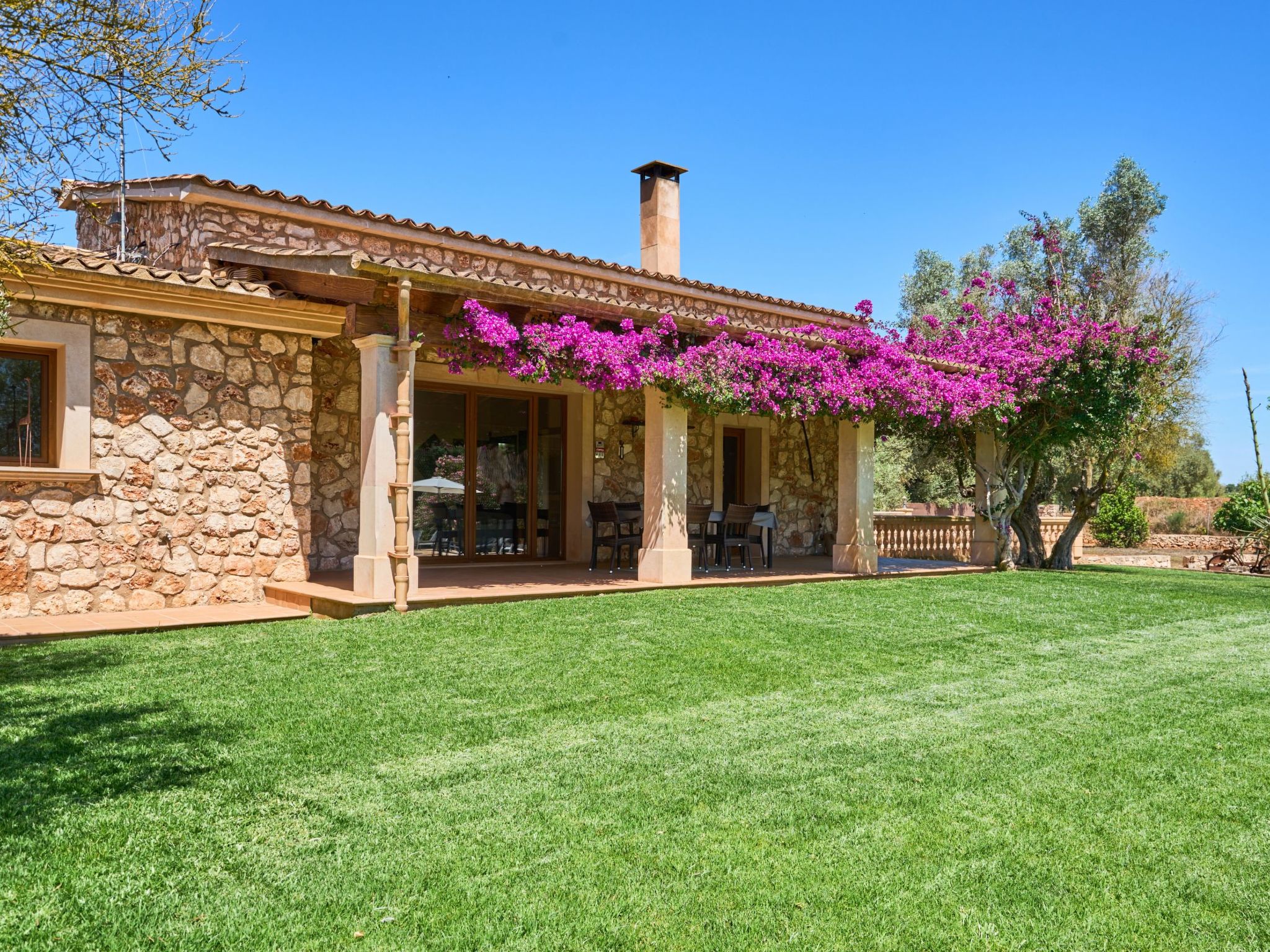 Ailen-Image-tags.info