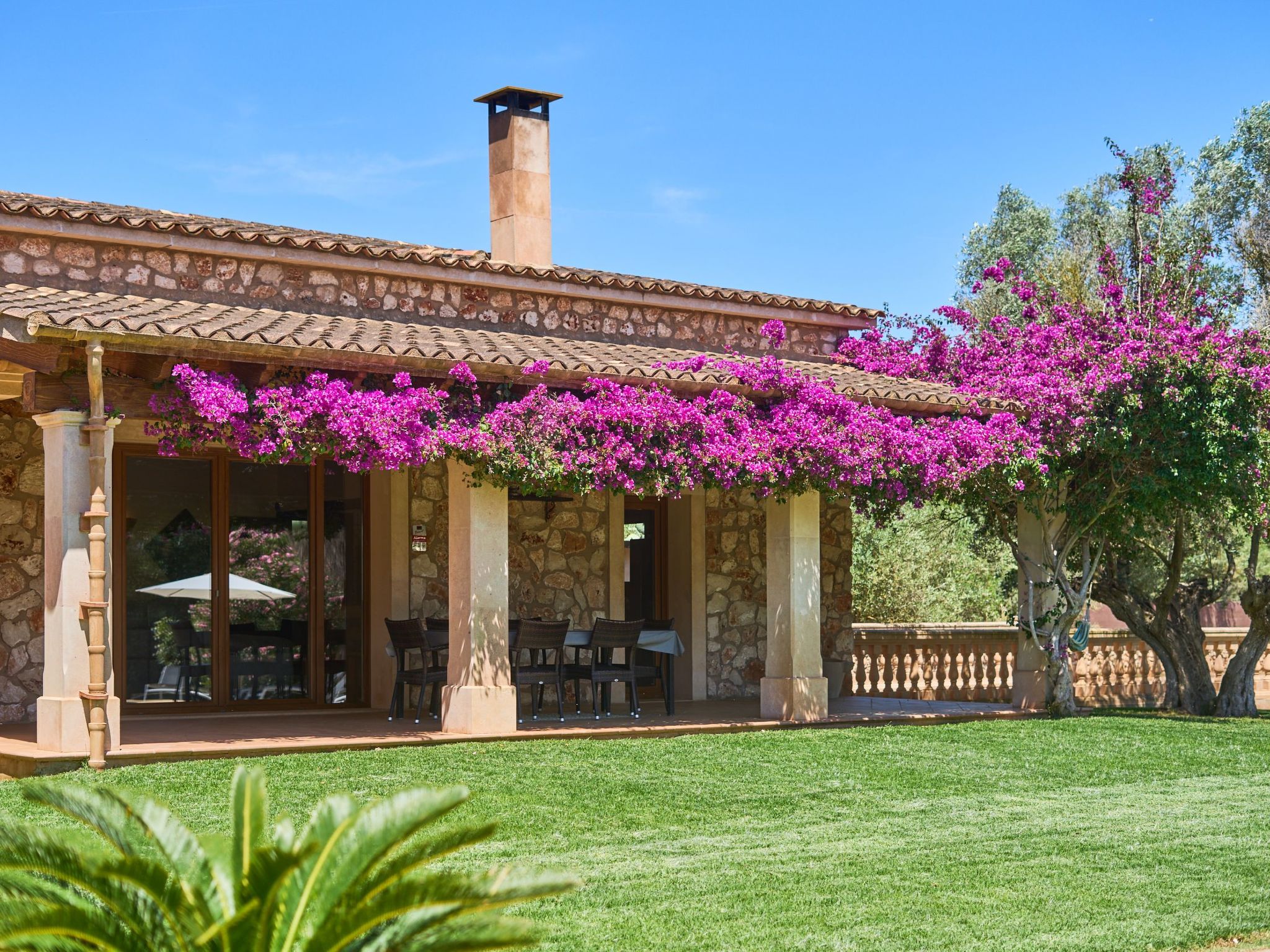 Ailen-Image-tags.info