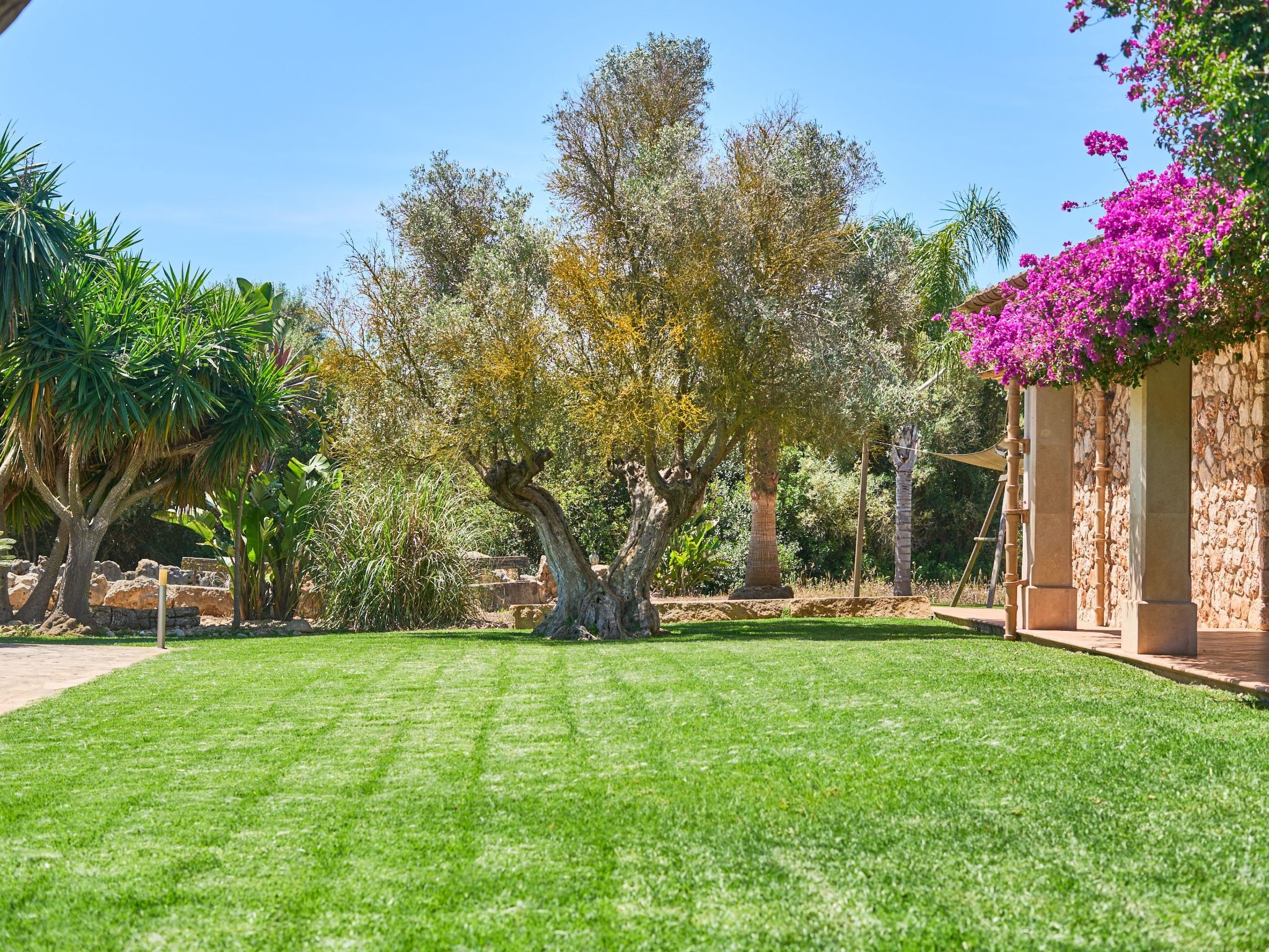 Ailen-Image-tags.info