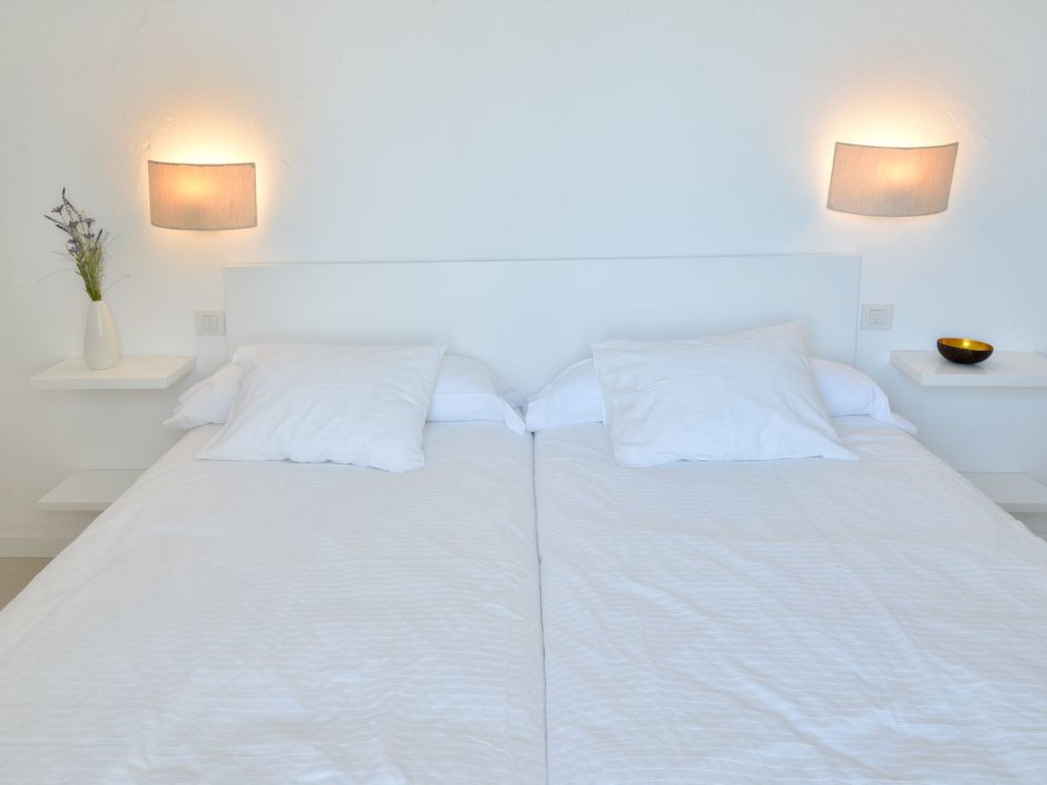 Can Marilla-Image-tags.info