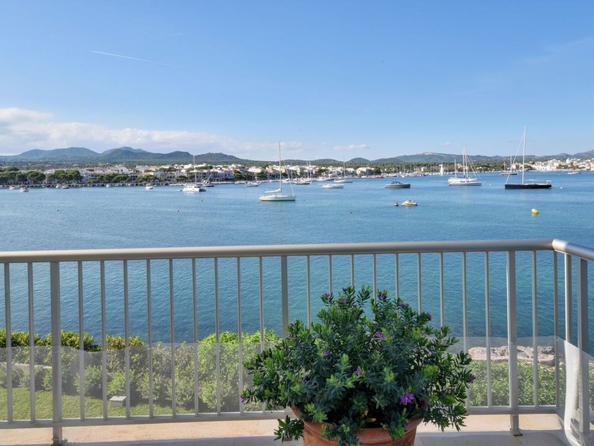 Can Marilla-Image-tags.info