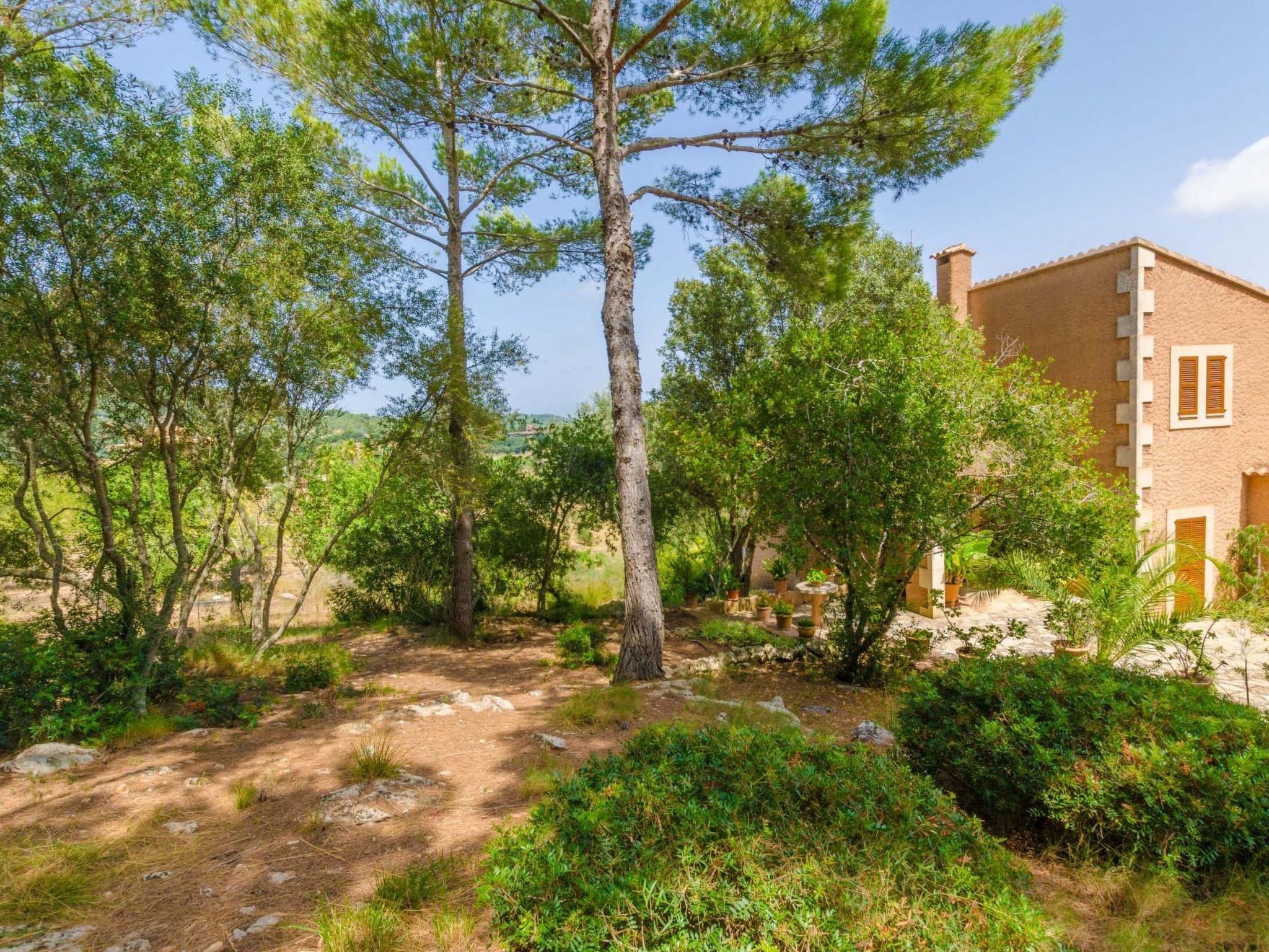 Turo de França-Image-tags.info