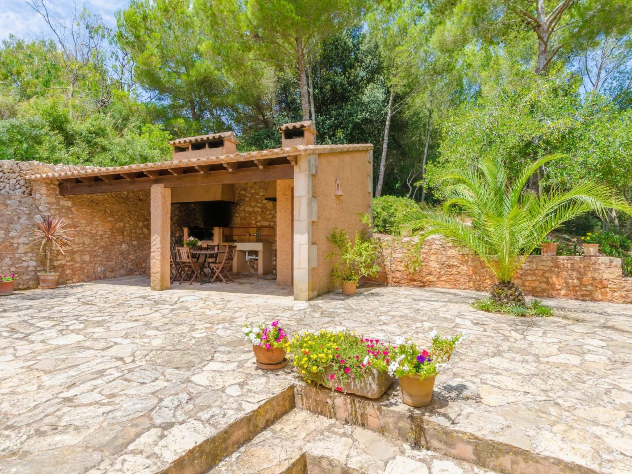 Turo de França-Image-tags.info