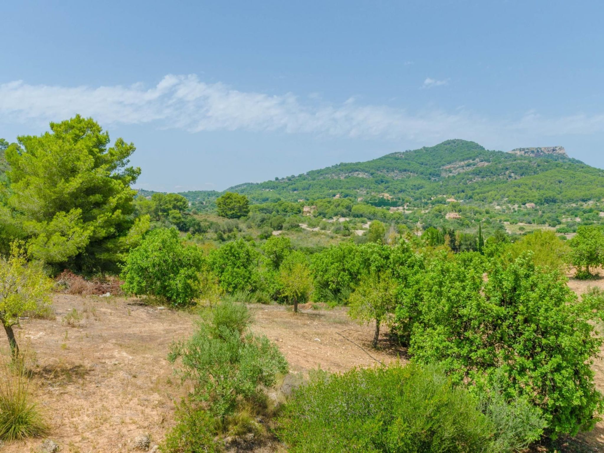 Turo de França-Image-tags.info