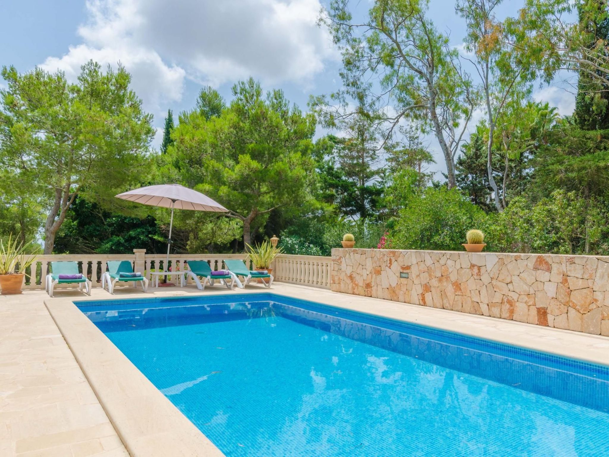 Turo de França-Image-tags.info