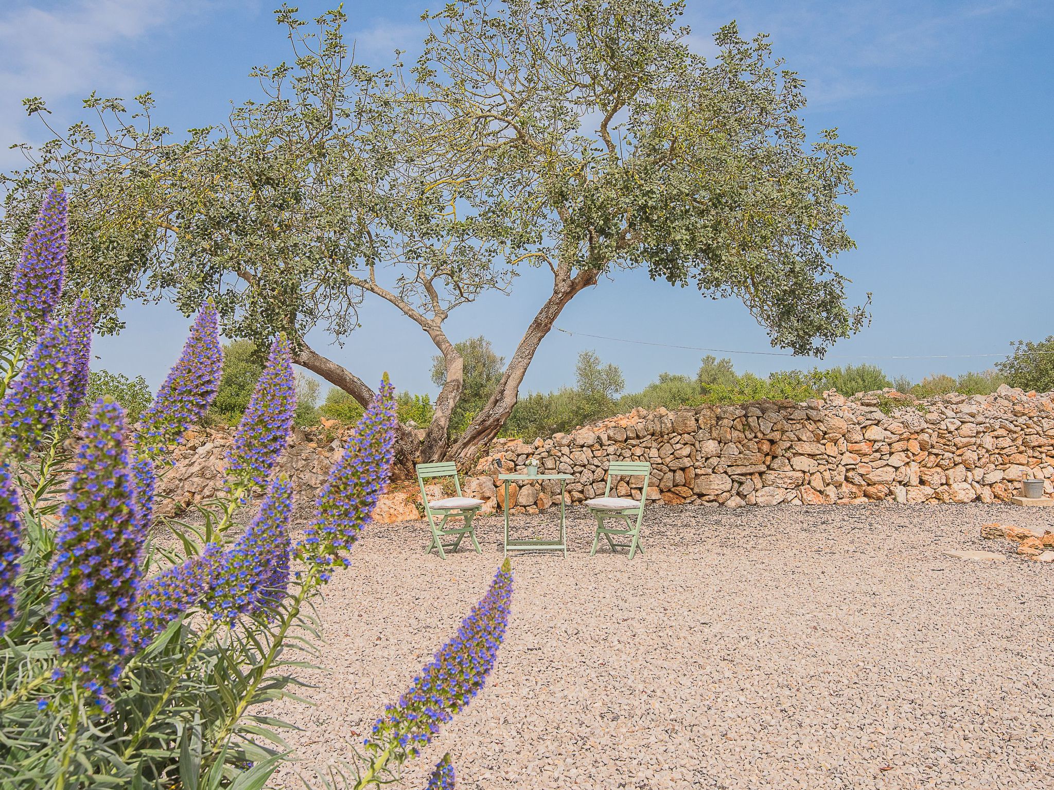 Tanca Gran-Image-tags.info