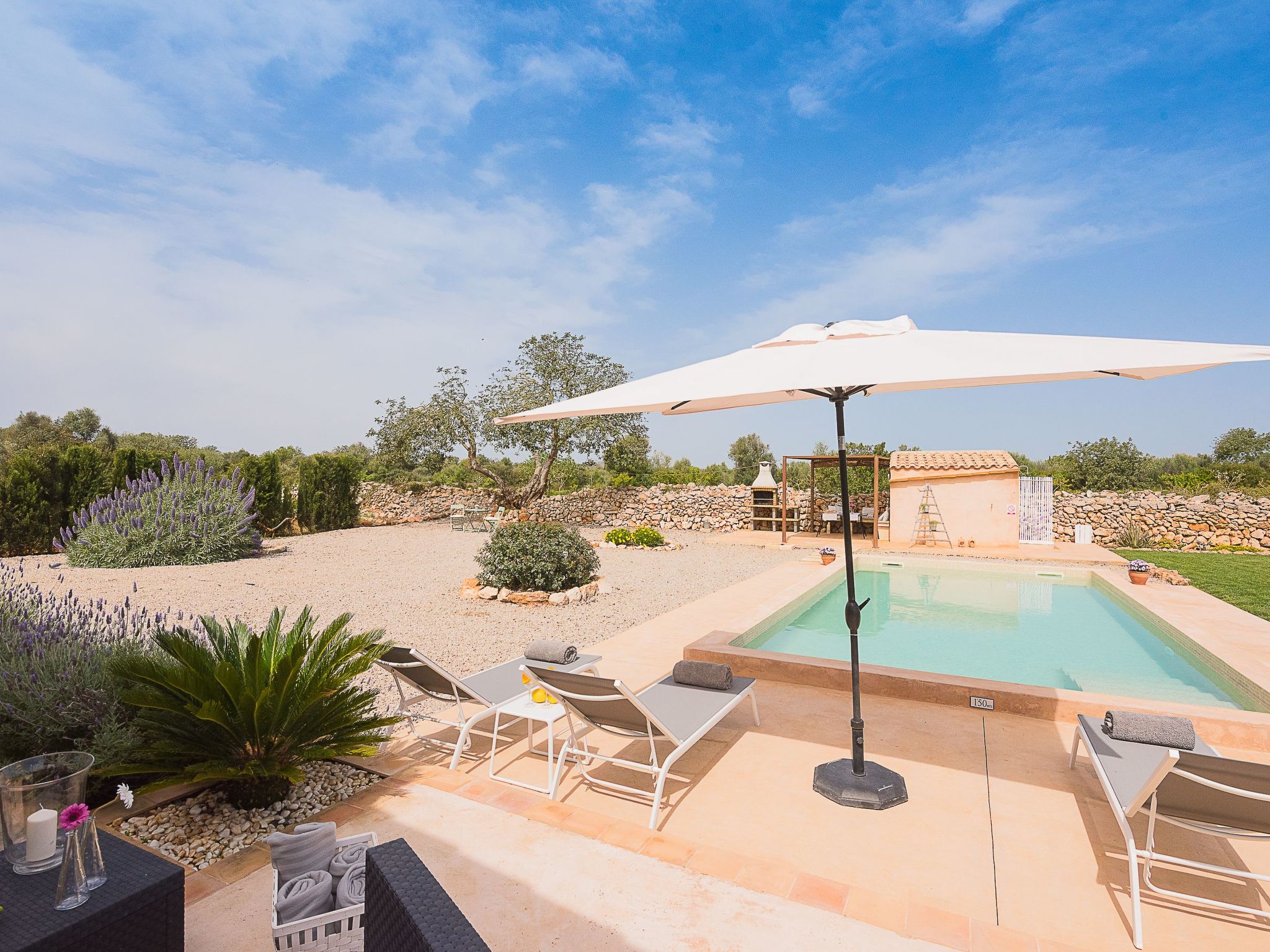 Tanca Gran-Image-tags.info