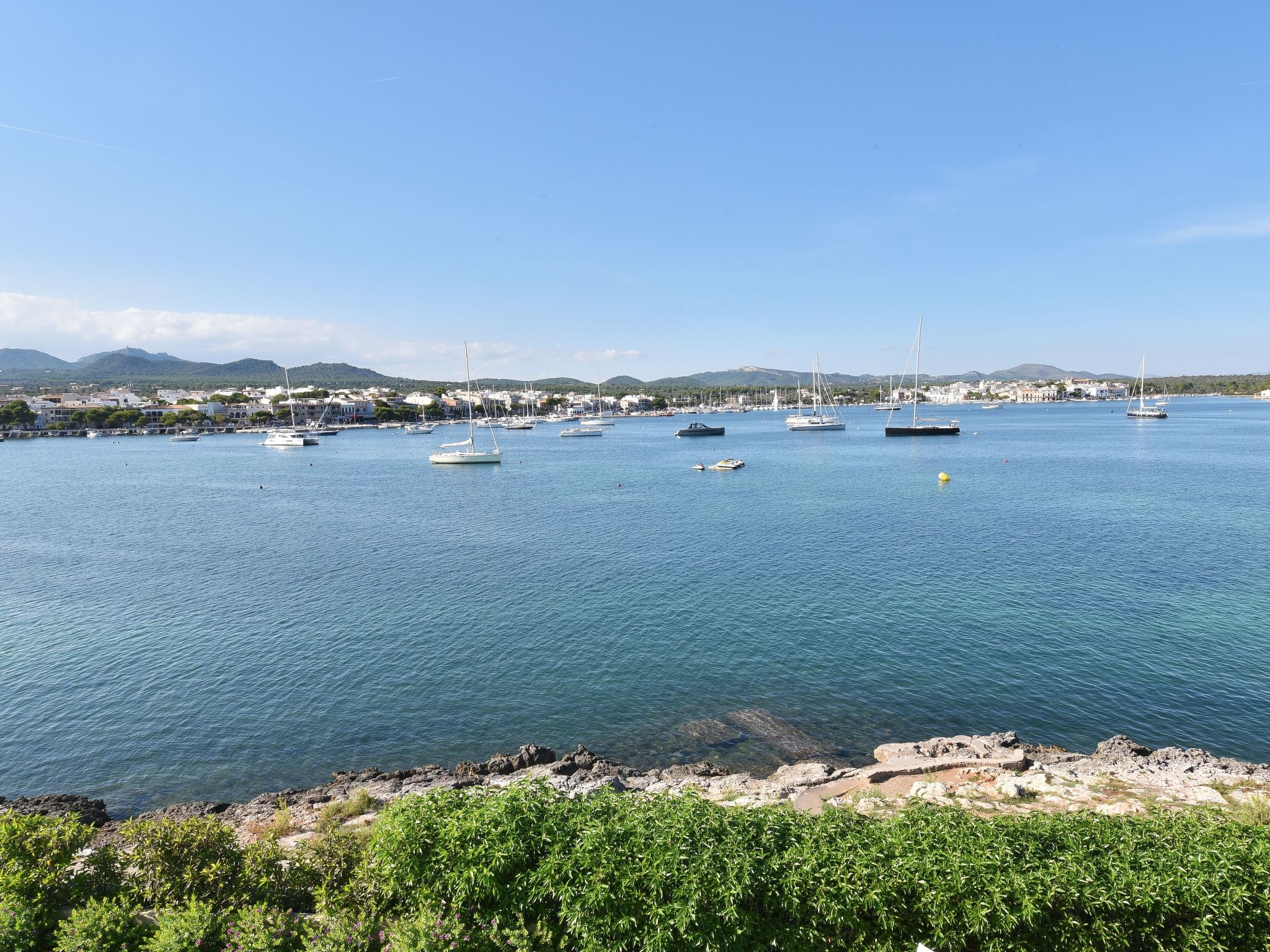 Martin-Image-tags.info