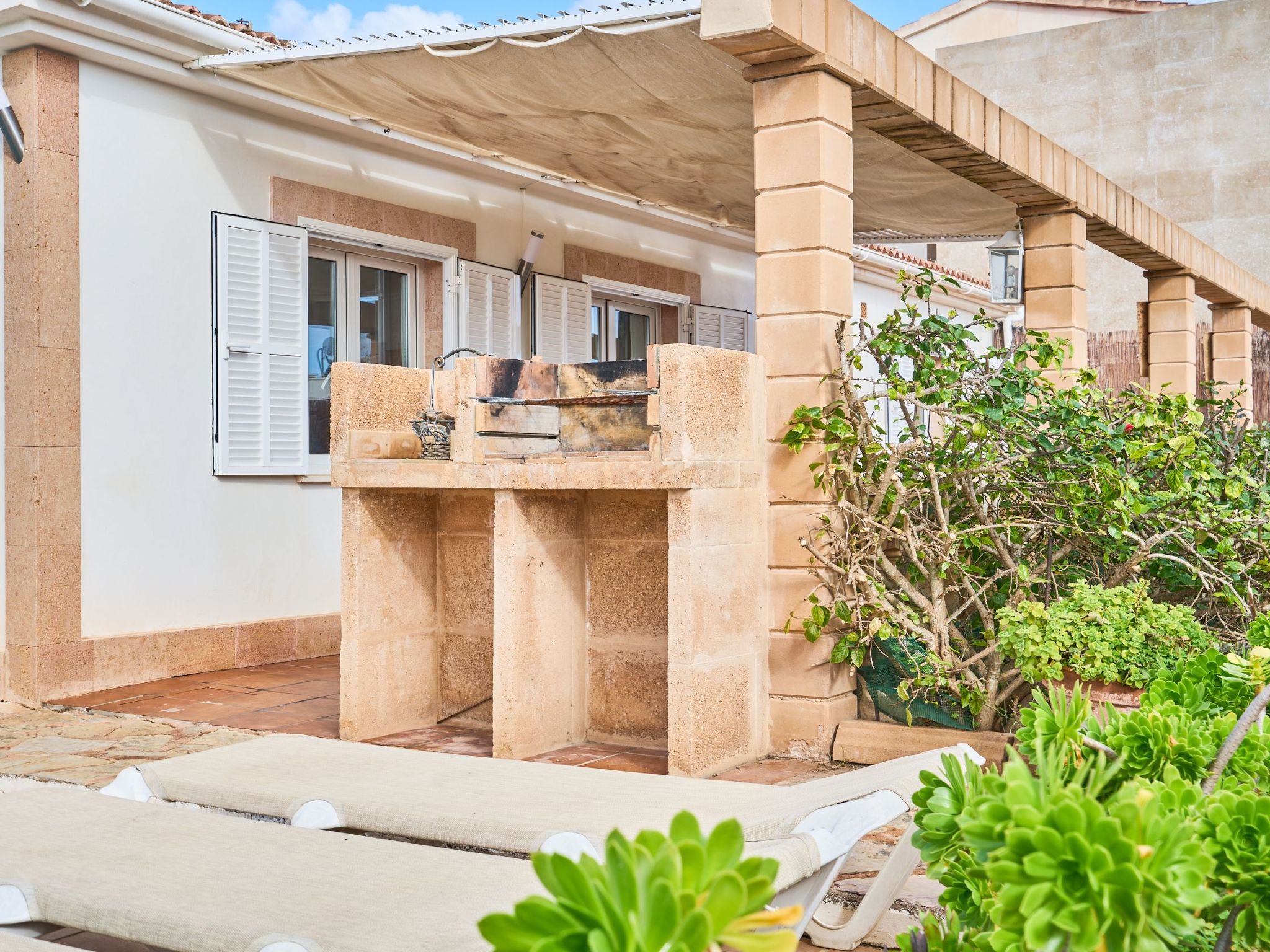 Martin-Image-tags.info