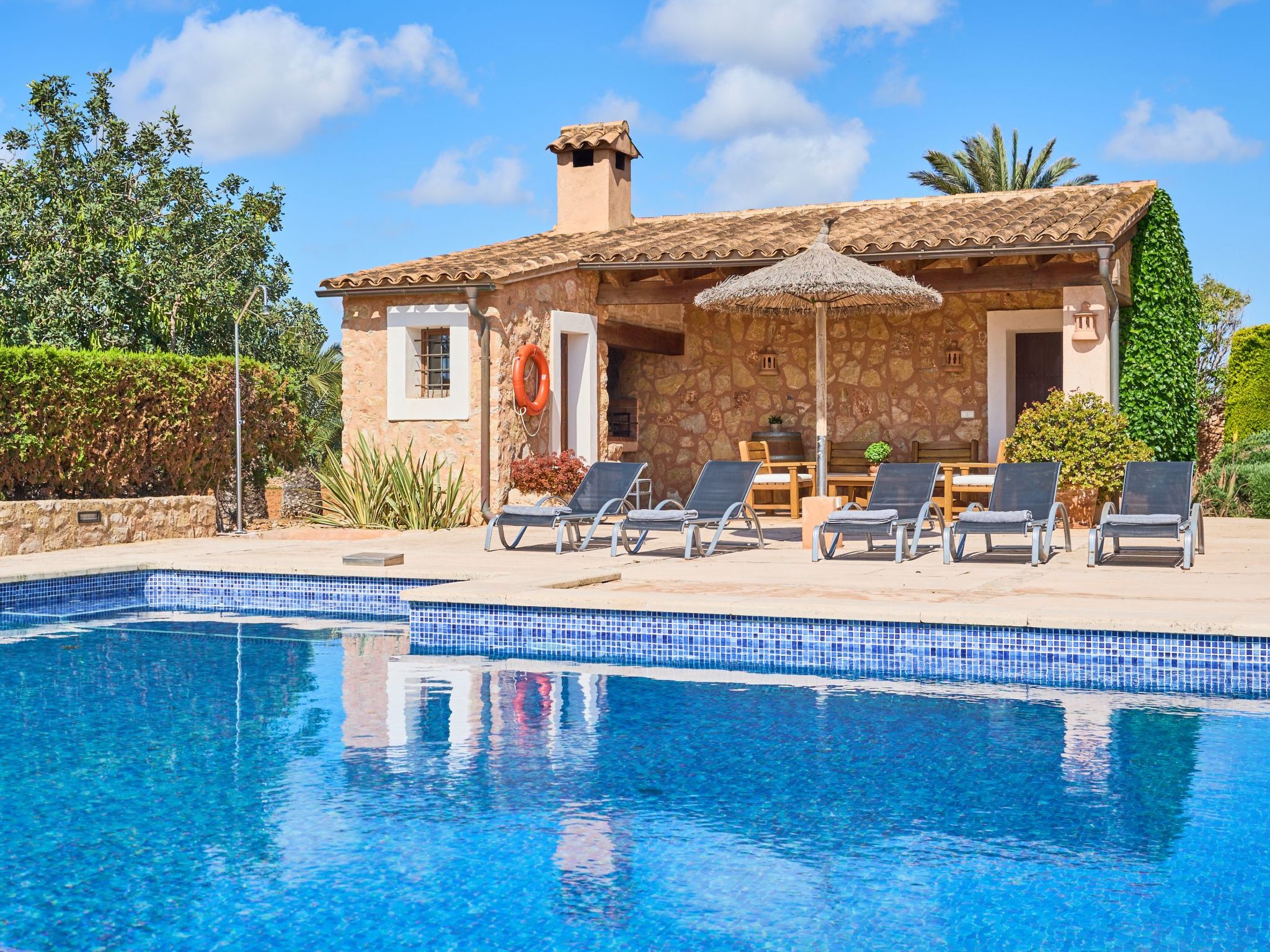 Hort Can Veritat-Image-tags.info