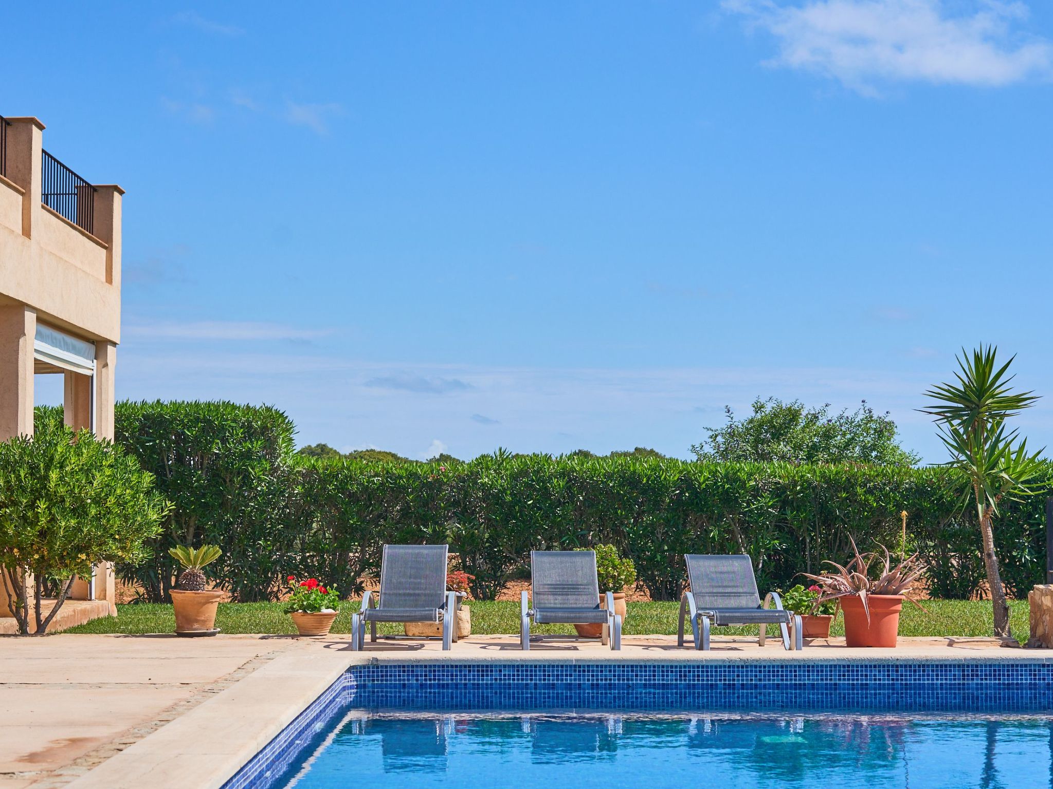 Hort Can Veritat-Image-tags.info