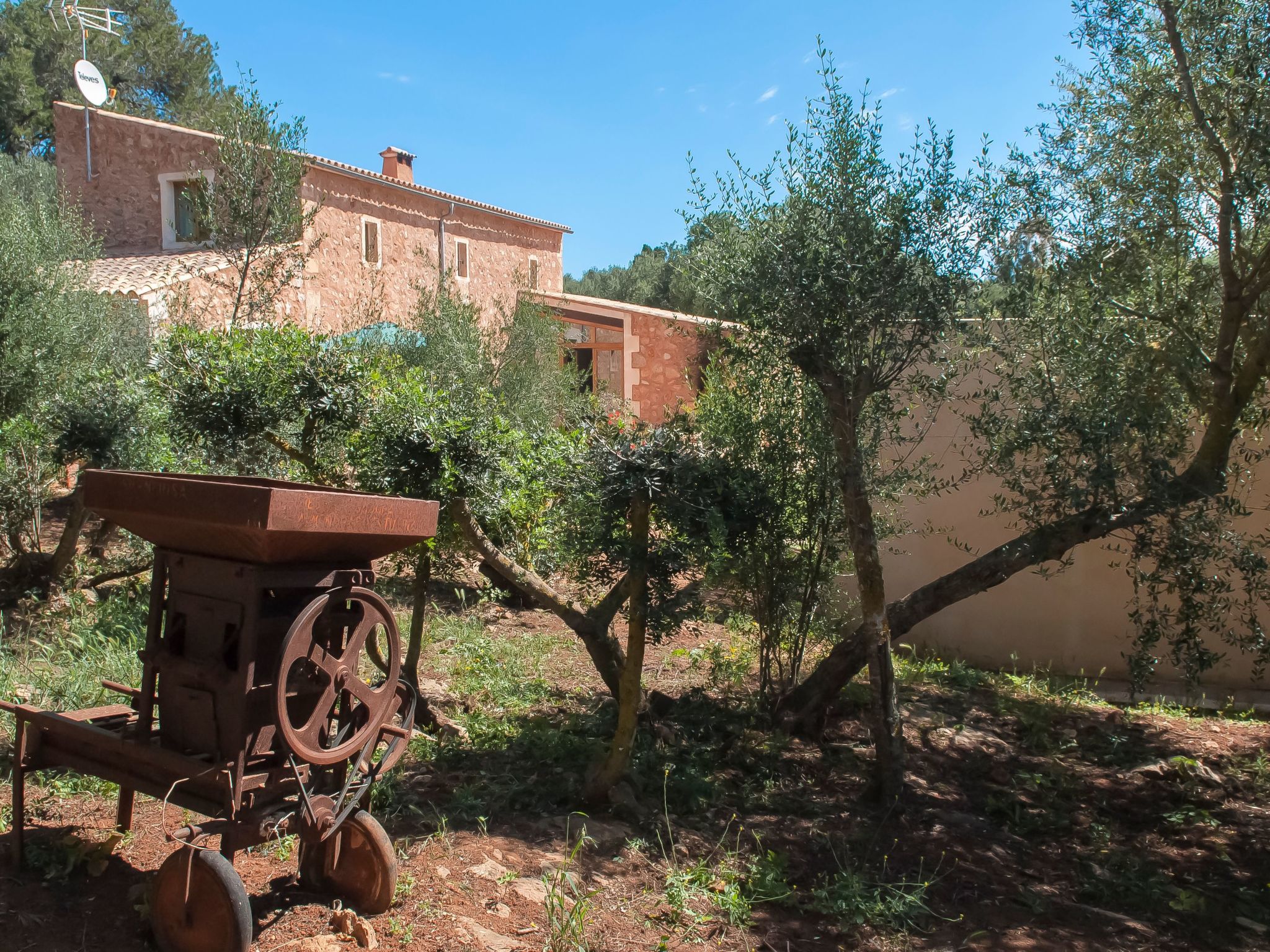 Salas Nou-Image-tags.info