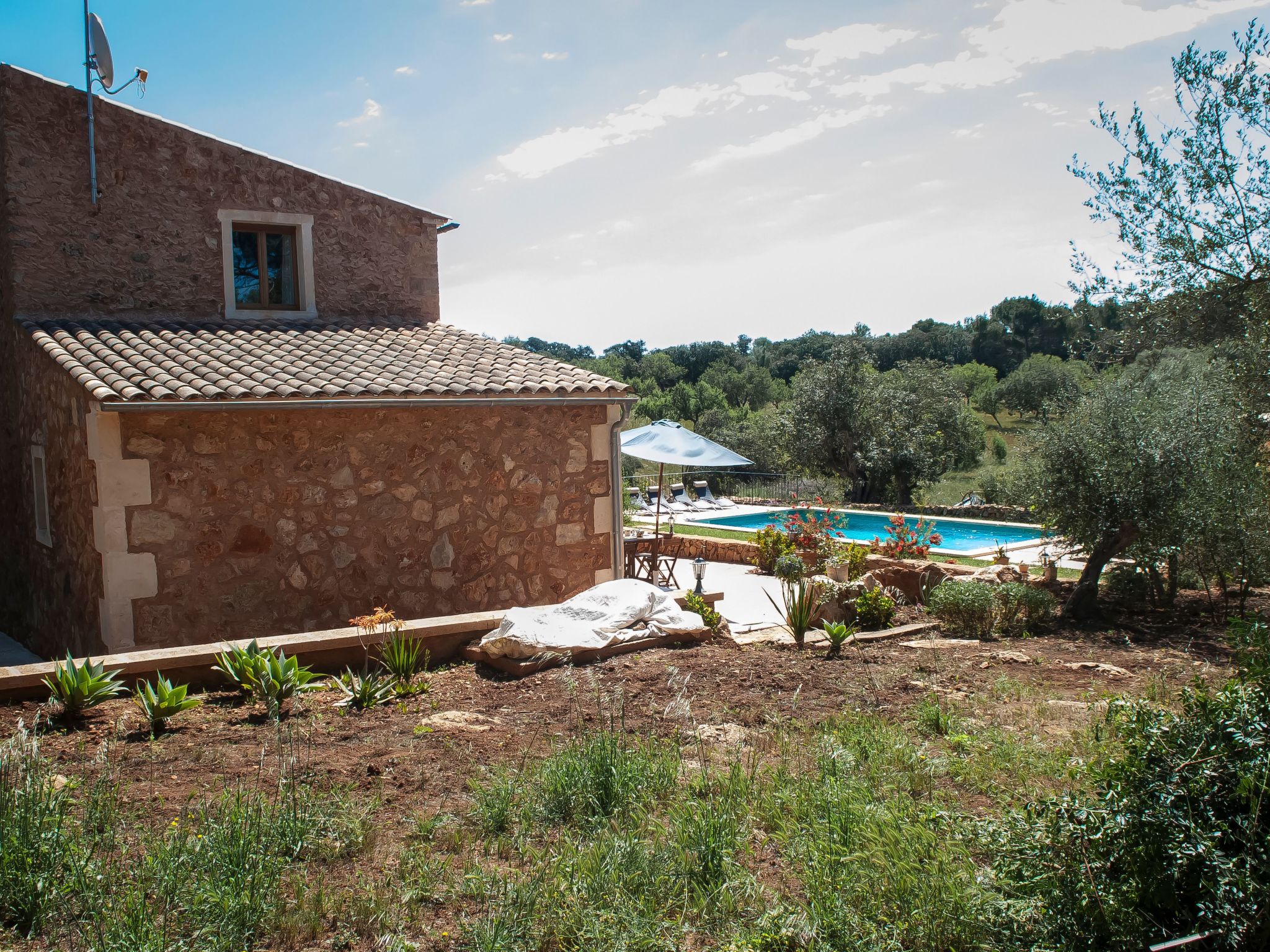 Salas Nou-Image-tags.info