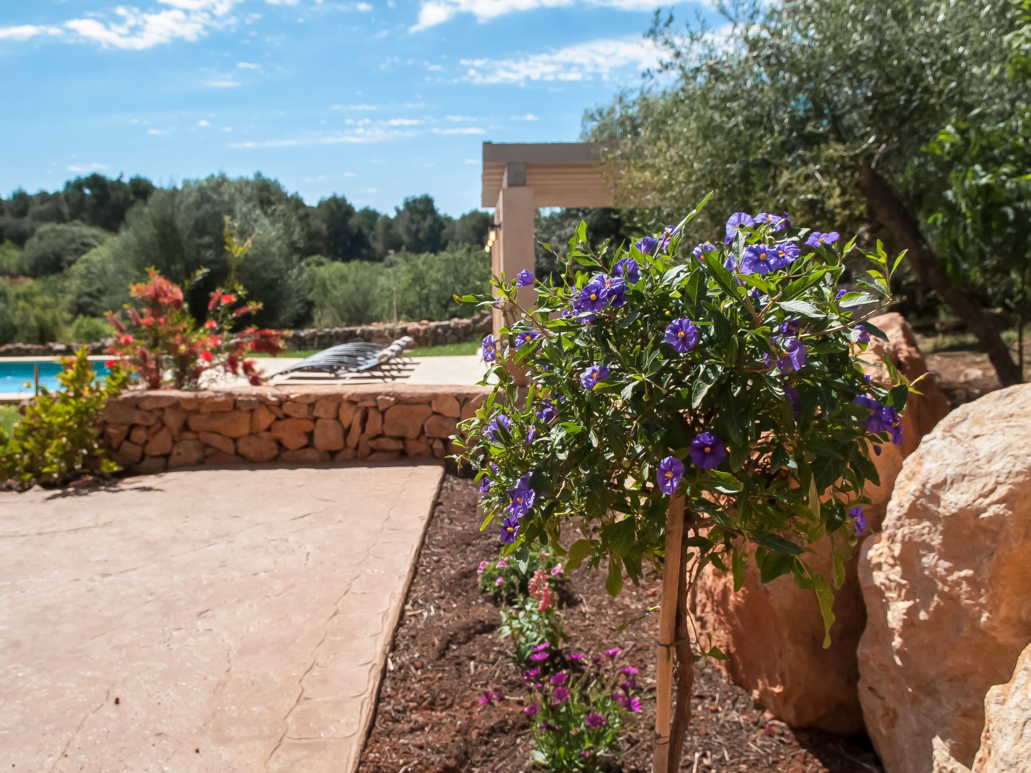 Salas Nou-Image-tags.info