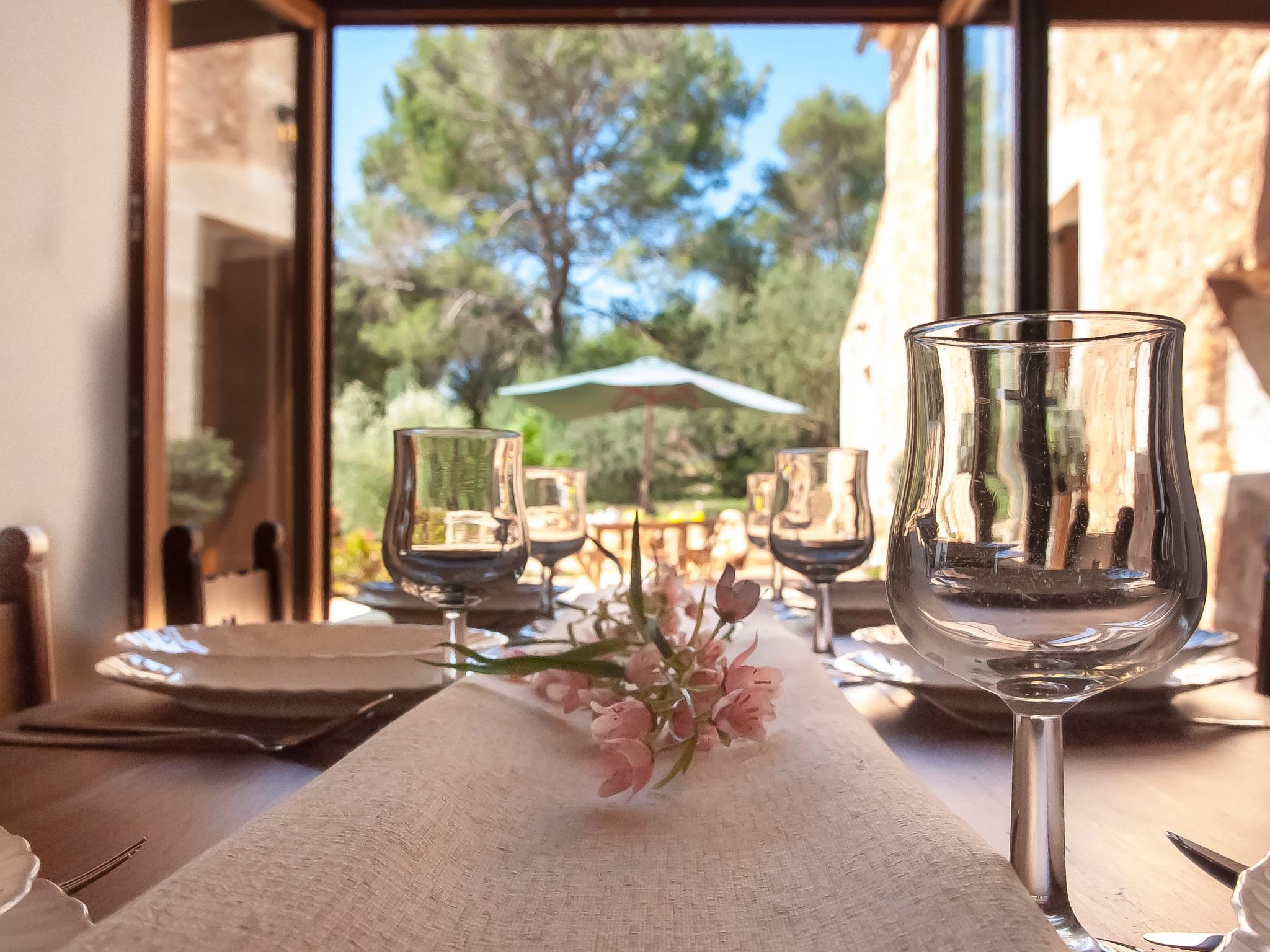 Salas Nou-Image-tags.info