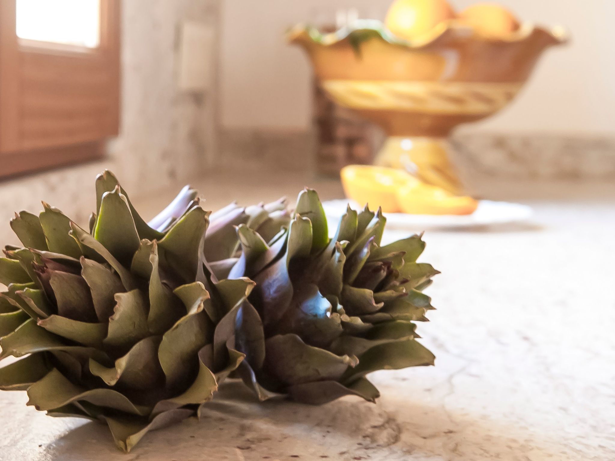 Salas Nou-Image-tags.info